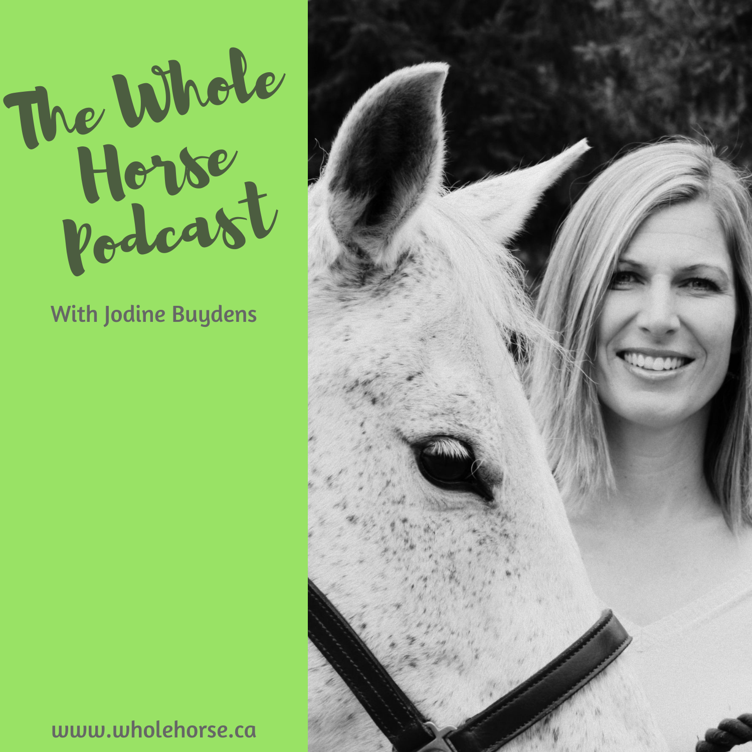 The Whole Horse Podcast with Alexa Linton
