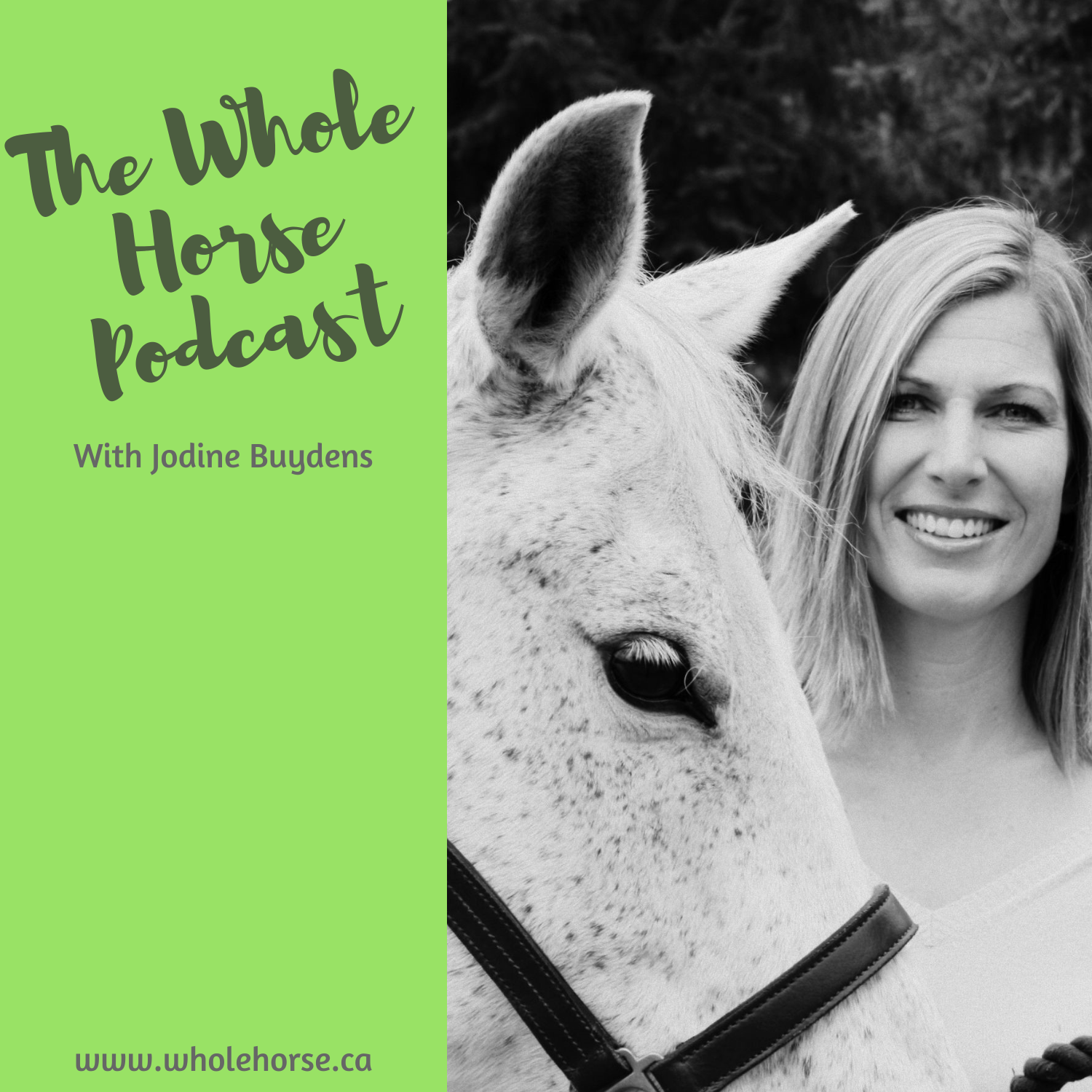 Whole Horse | Leading with relationship with Jodine Buydens