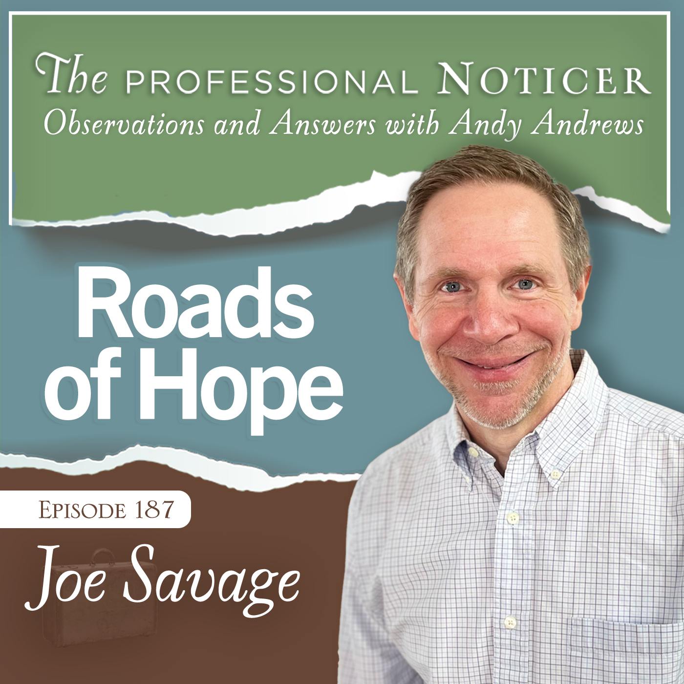 The Professional Noticer