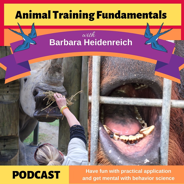 Animal Training Fundamentals with Barbara Heidenreich