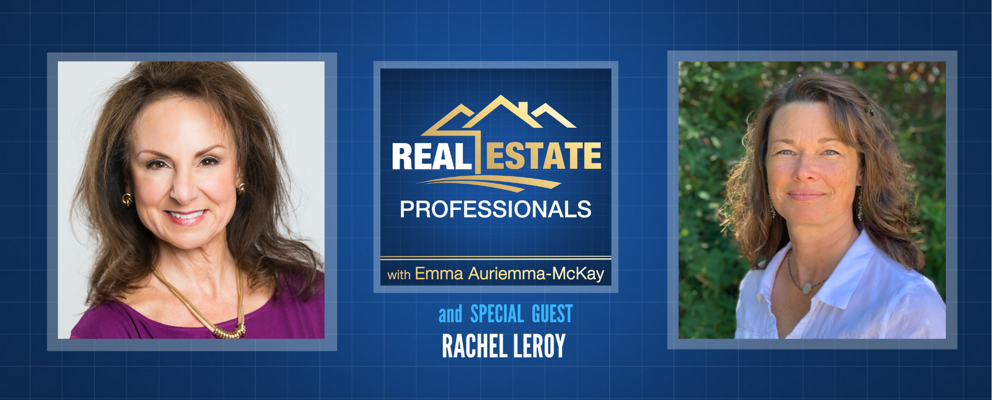 Real Estate Professionals - Property Sales Tactics for Realtors