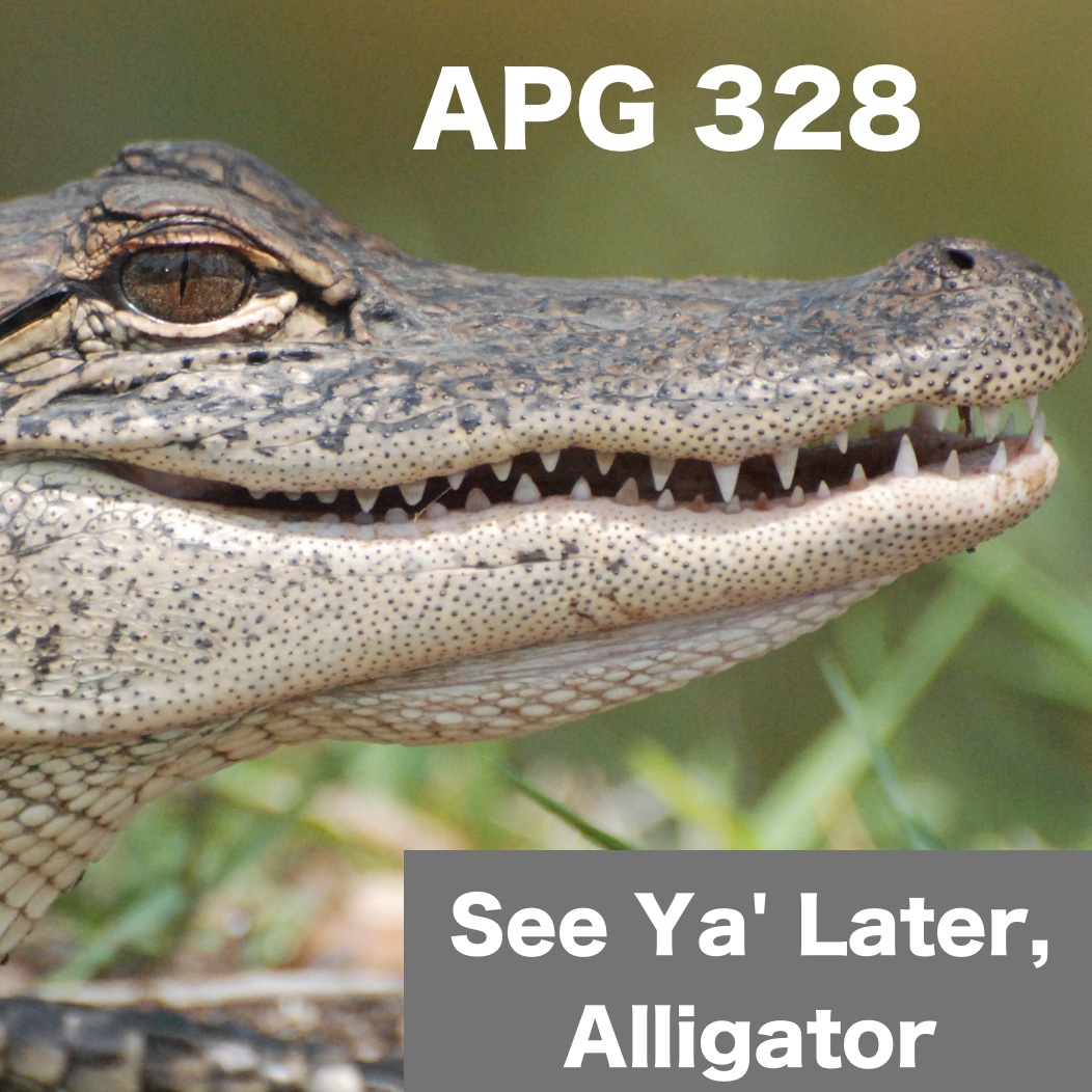 See Ya' Later, Alligator!