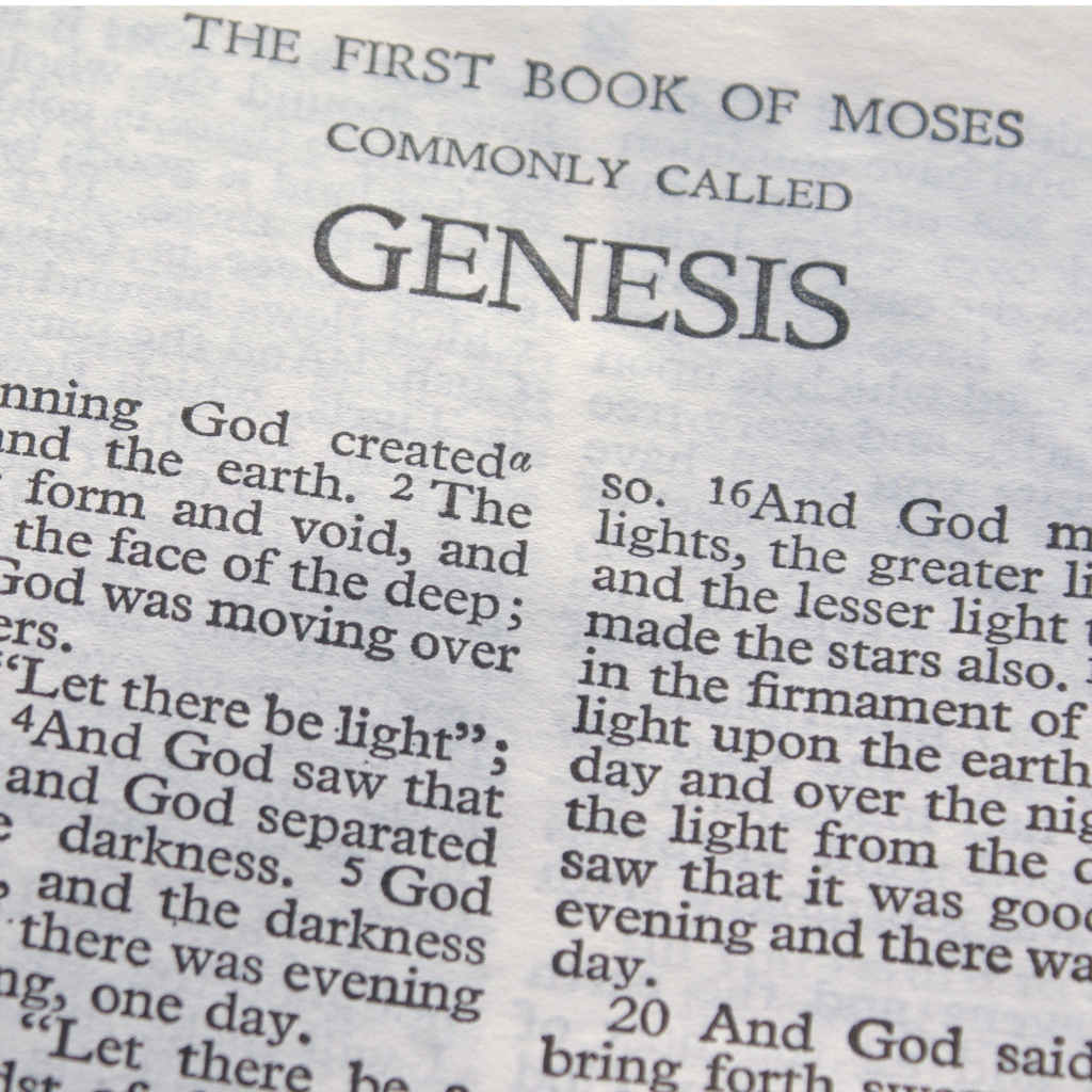 Did a Woman Write Genesis?