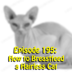 Episode 195: How to Breastfeed a Hairless Cat