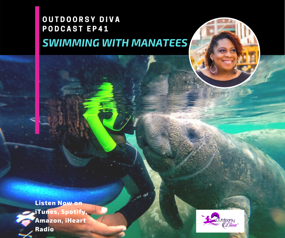 Swimming with Manatees in Florida - EP 41