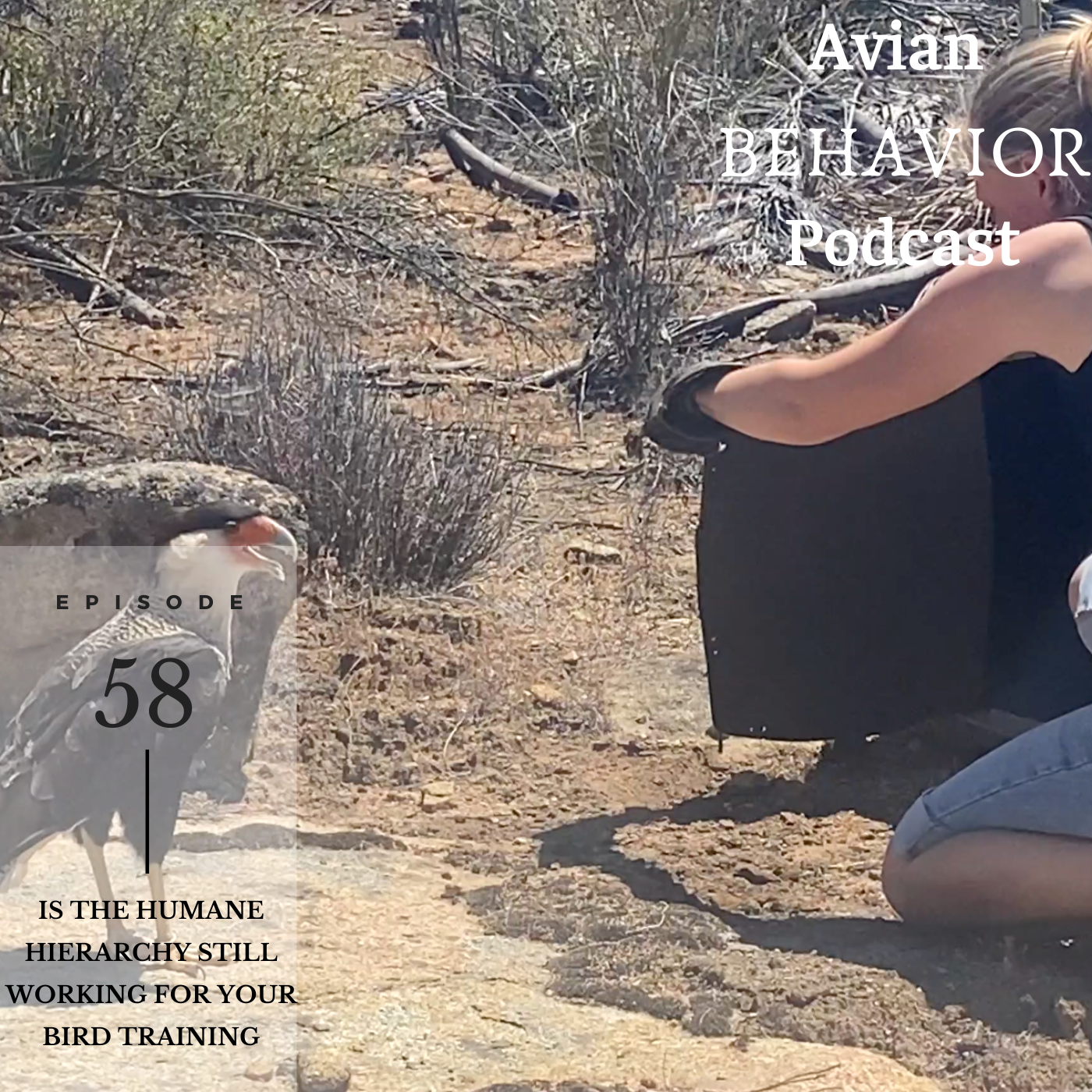 The Avian Behavior Podcast