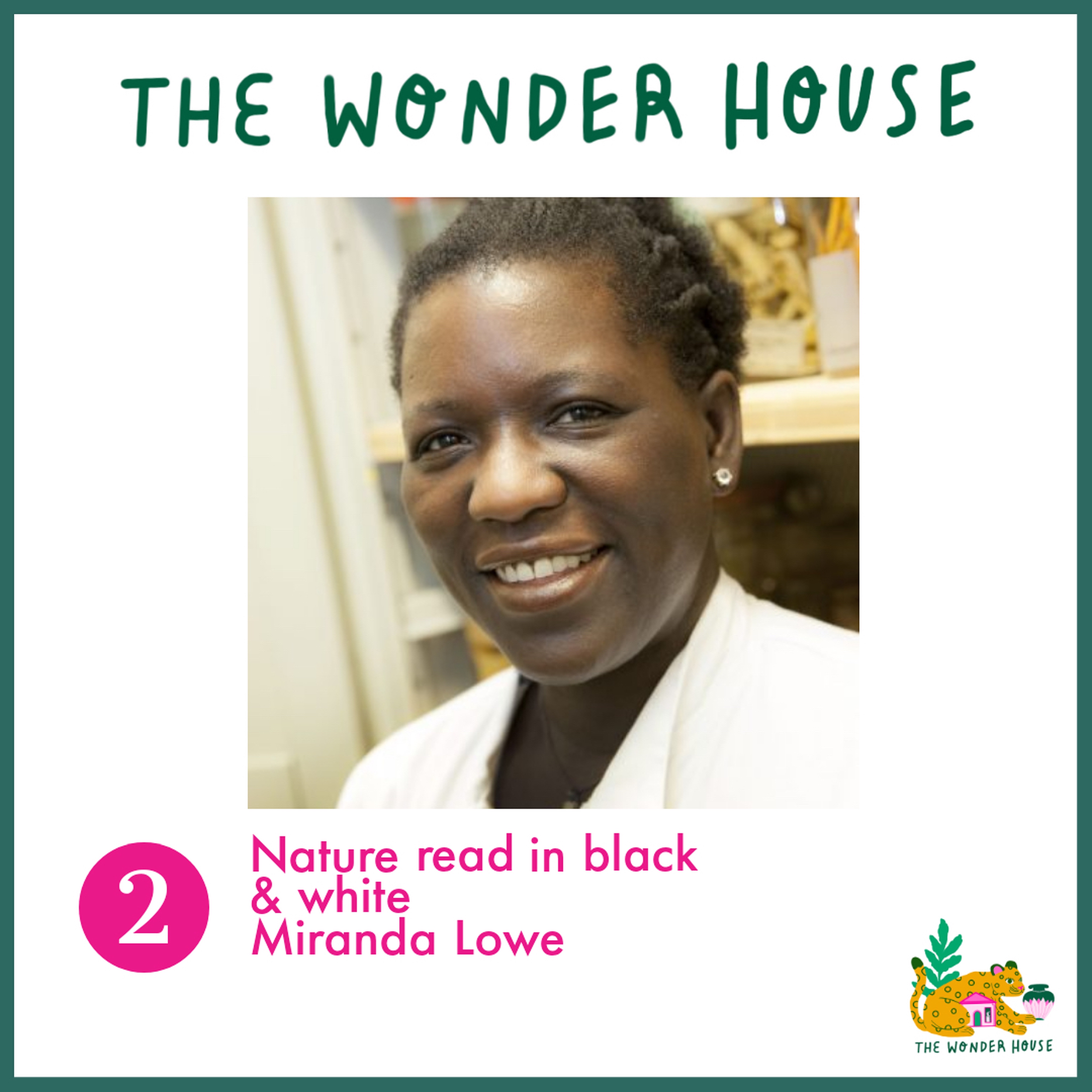 The Wonder House