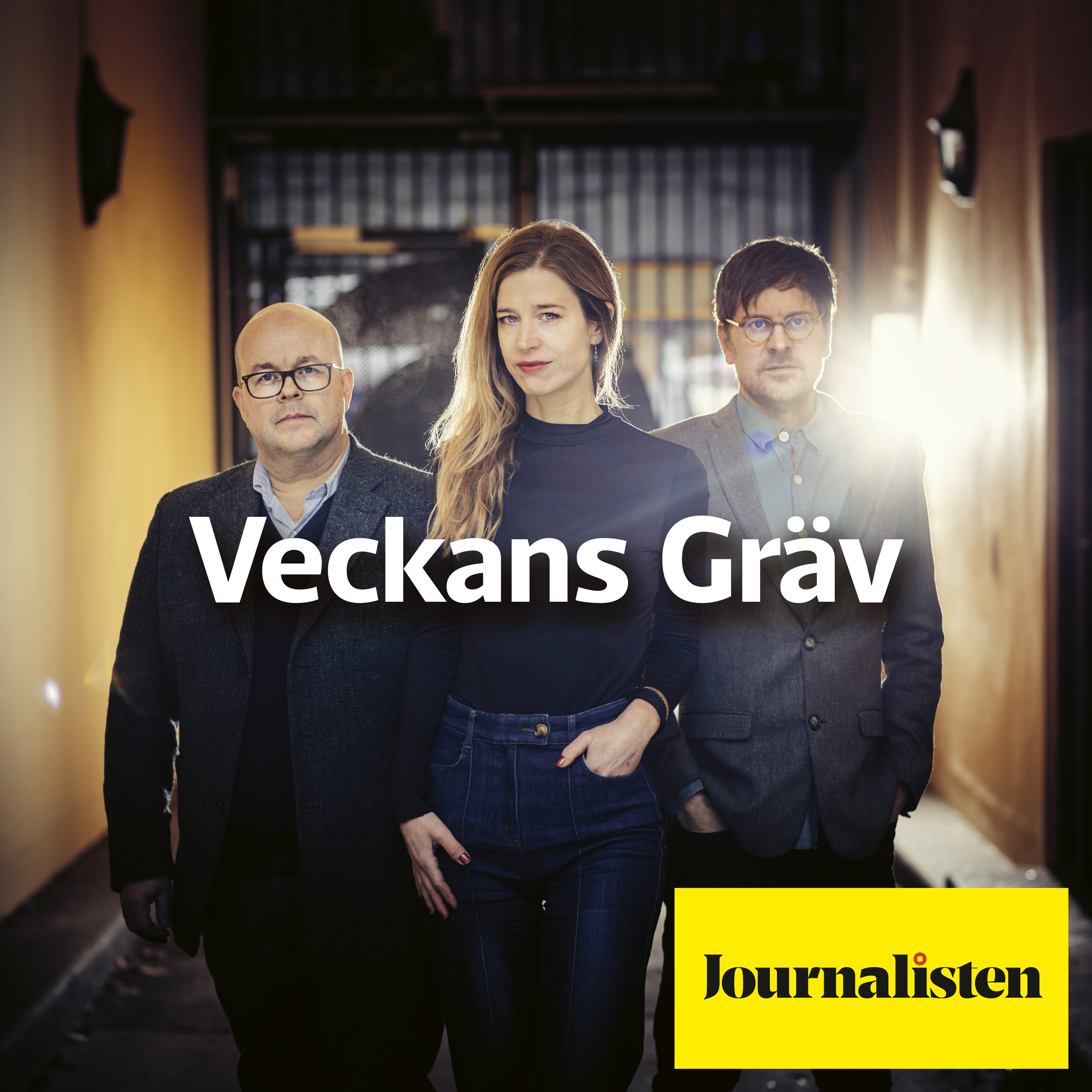 Journalistens poddar