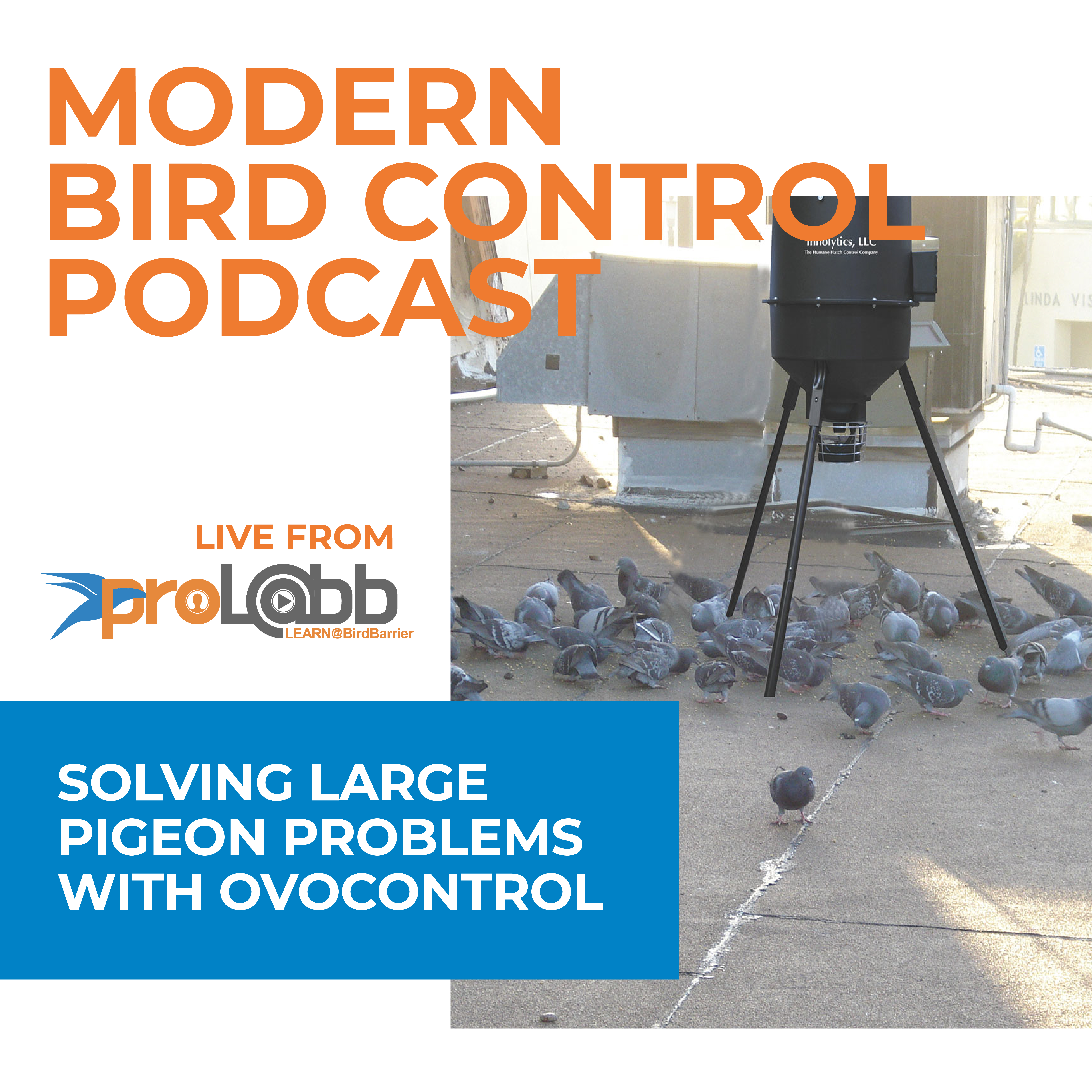 Episode: Solving Large Pigeon Problems with OvoControl