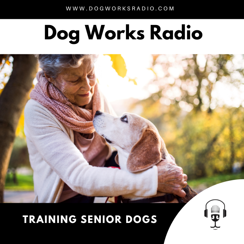 The Essential Guide to Training Senior Dogs