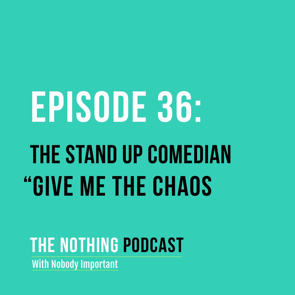 The Stand Up Comedian - 