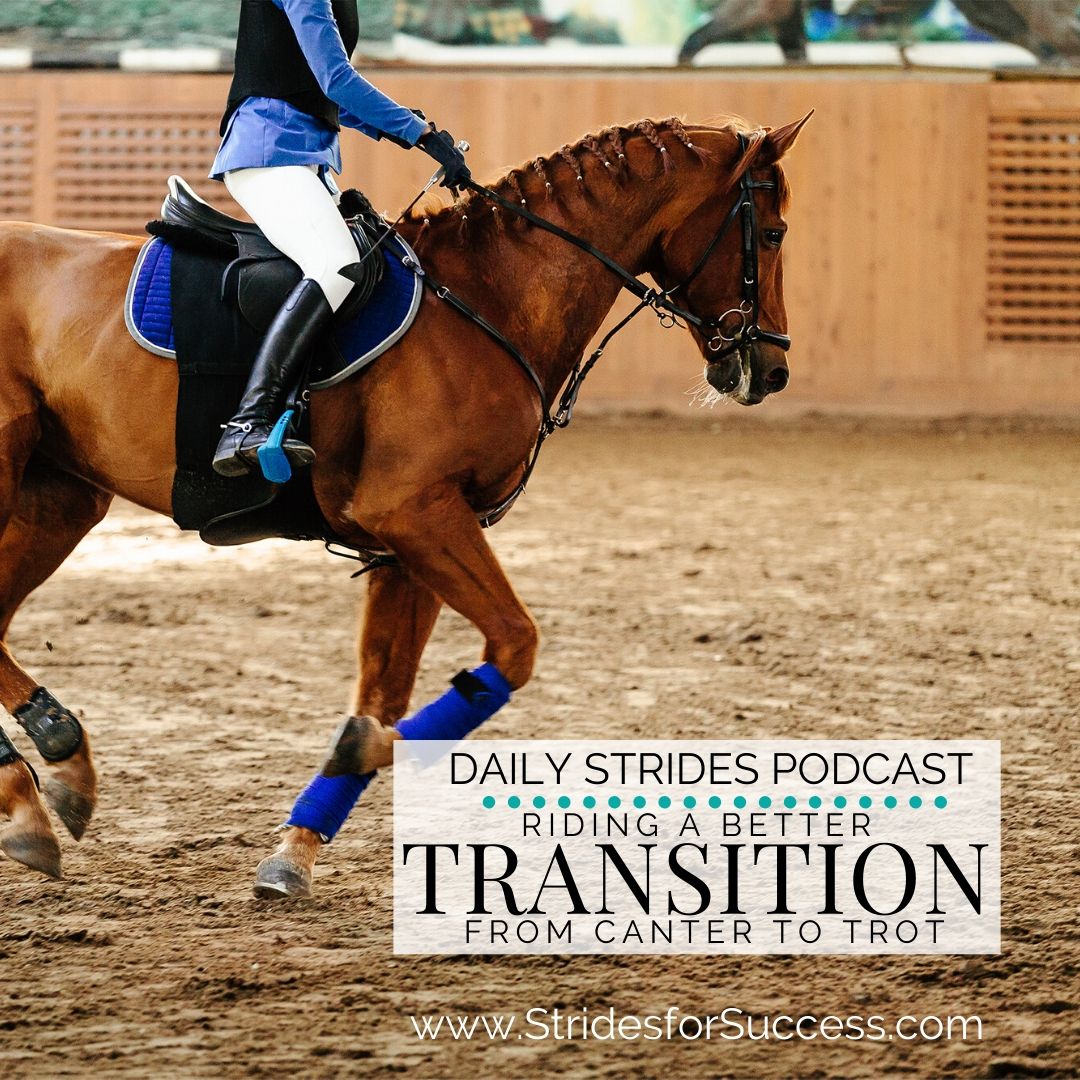 Your Canter to Trot Transition