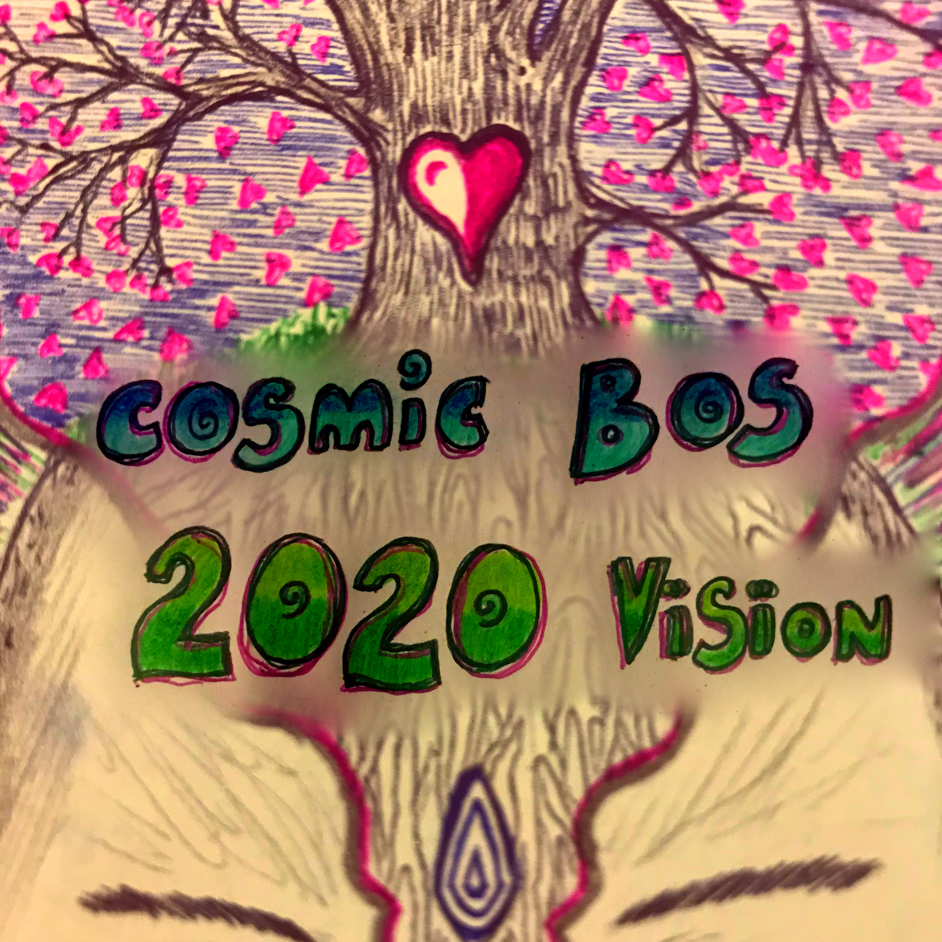 2020 Vision - Cosmic Bos Year reflection