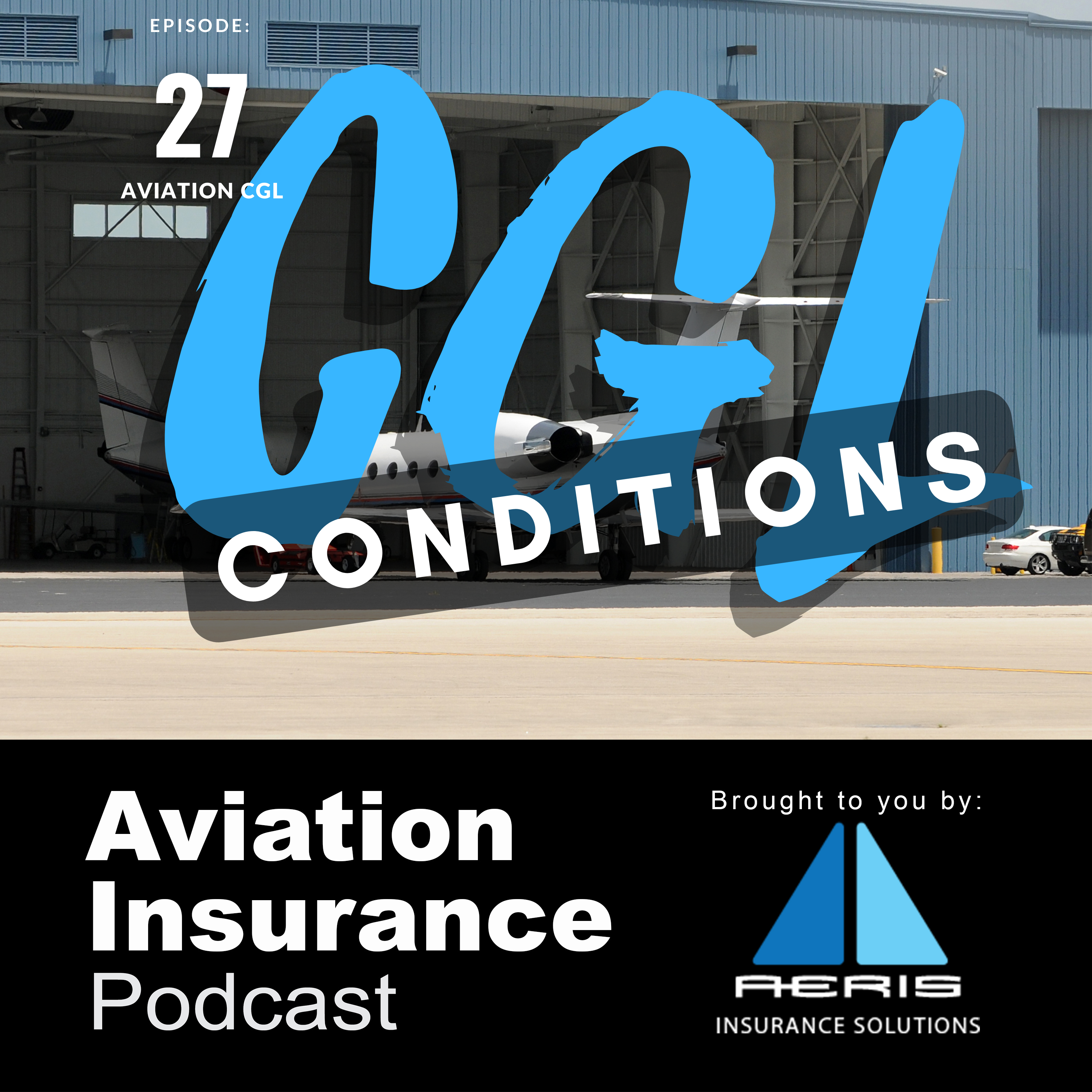 Episode 27: Aviation Commercial General Liability - Conditions
