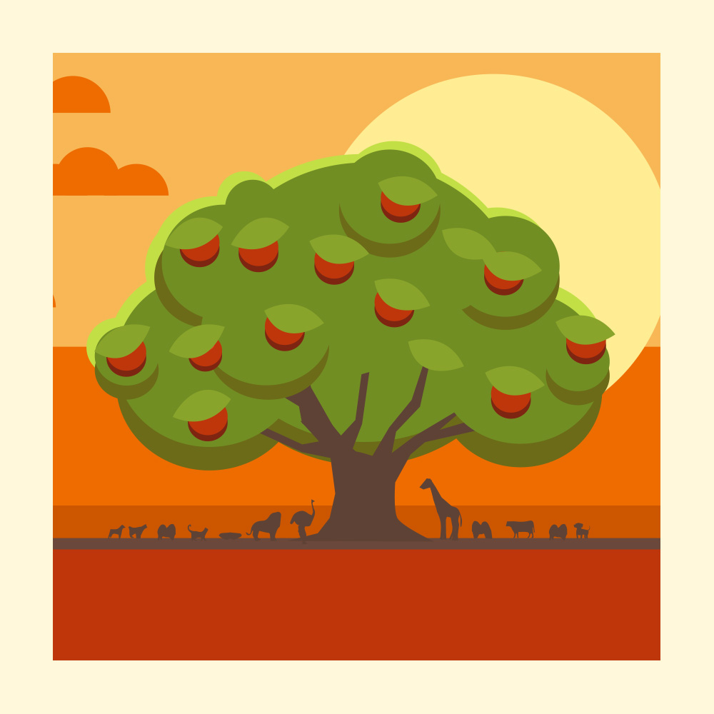 Journey with Story - Episode19 - The Magic Tree