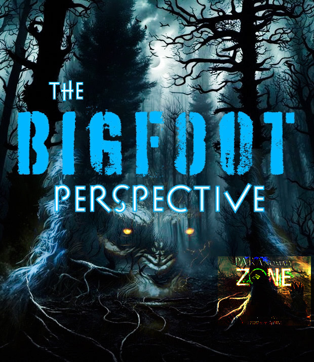 The BIGFOOT Perspective
