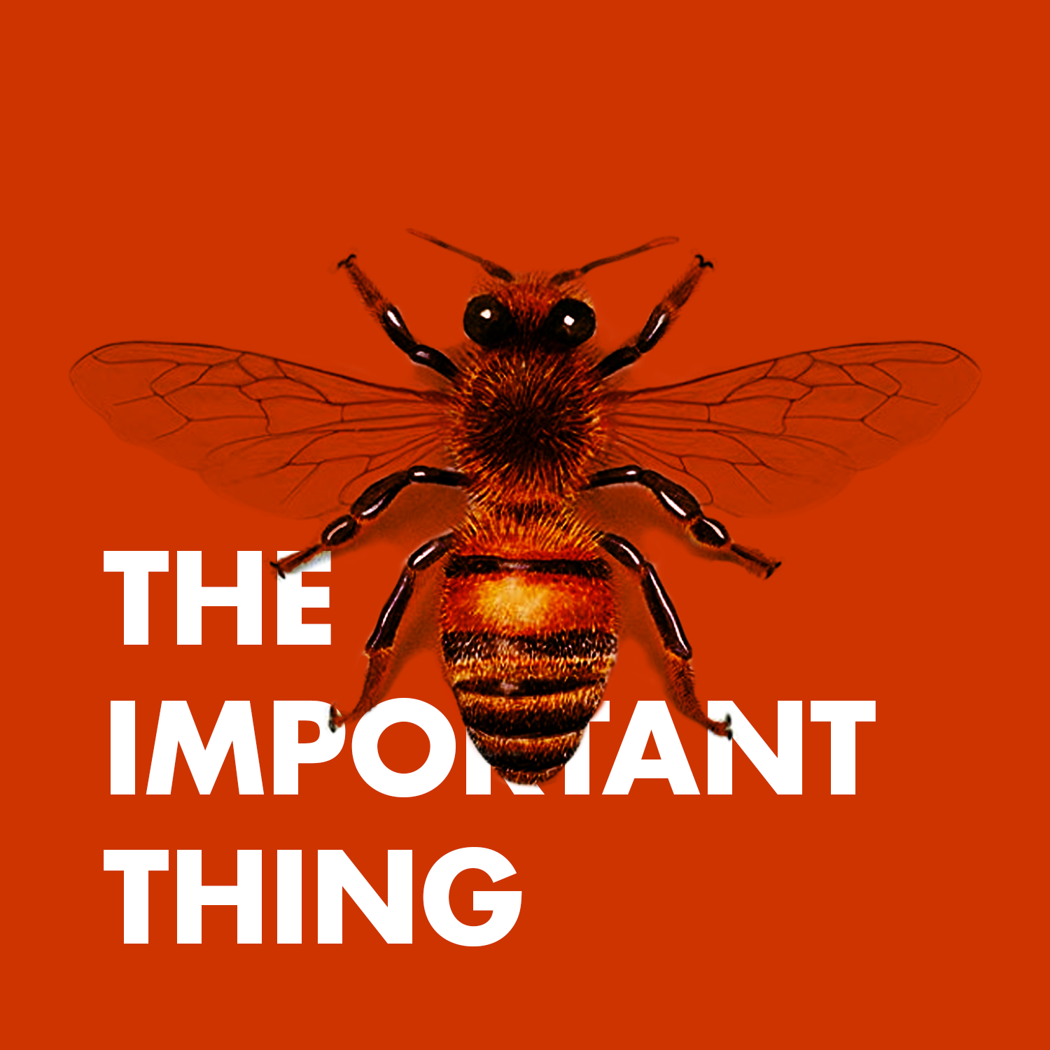 The Important Thing