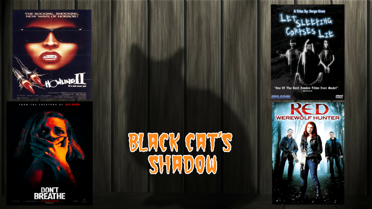 Black Cat\'s Shadow