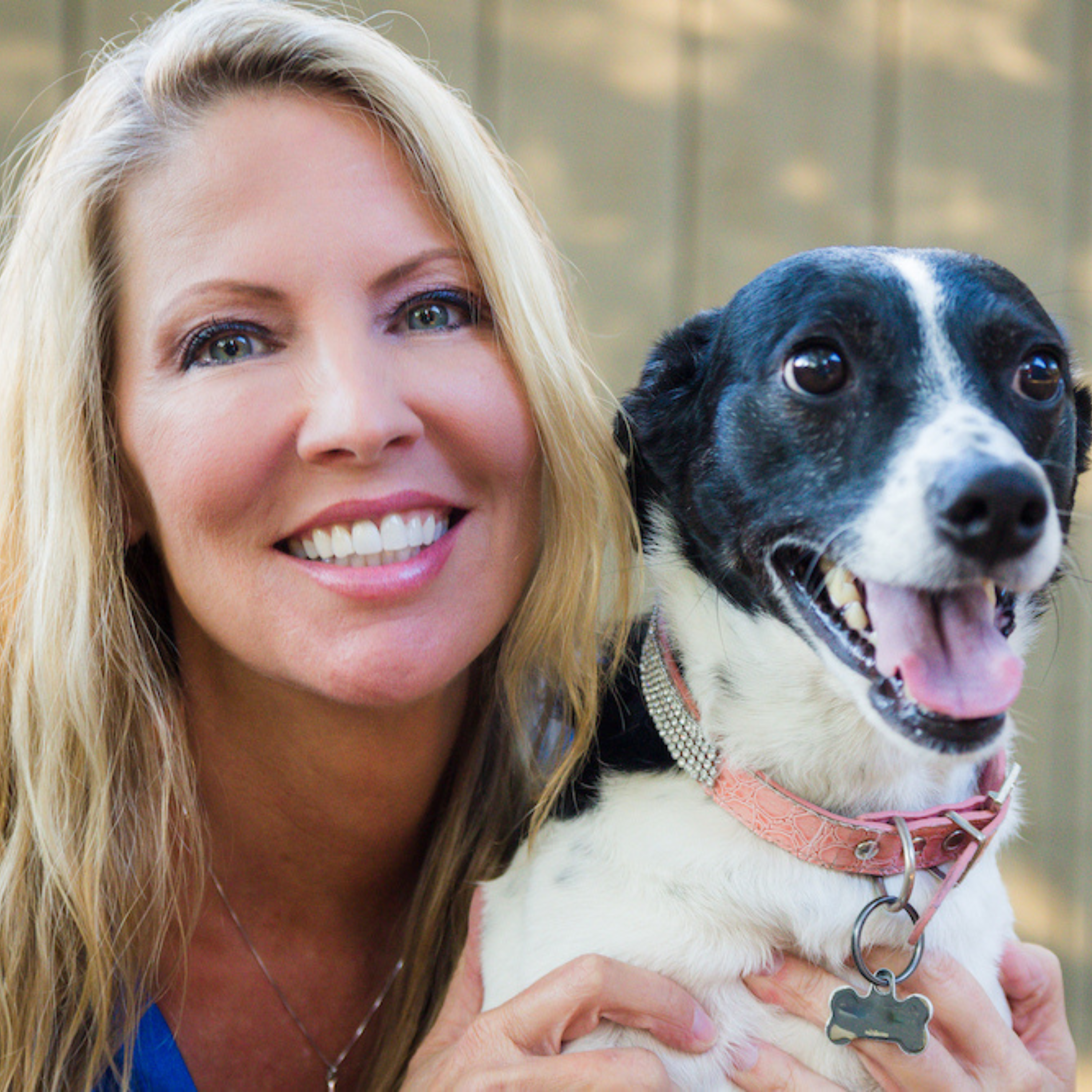 Pet Sitter Confessional