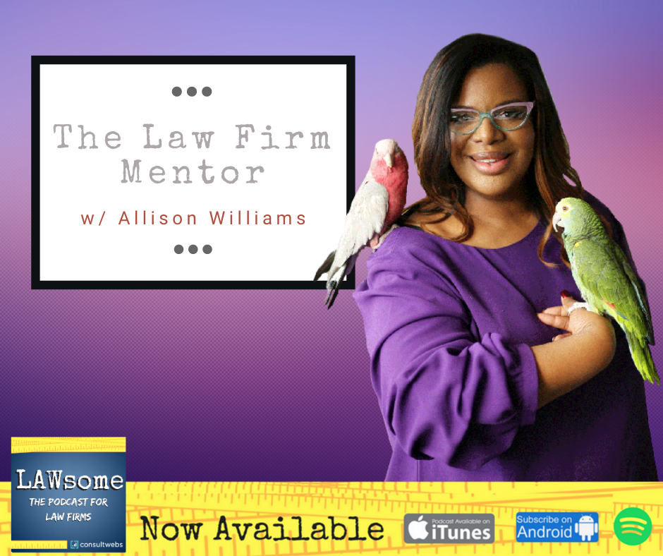 The Law Firm Mentor