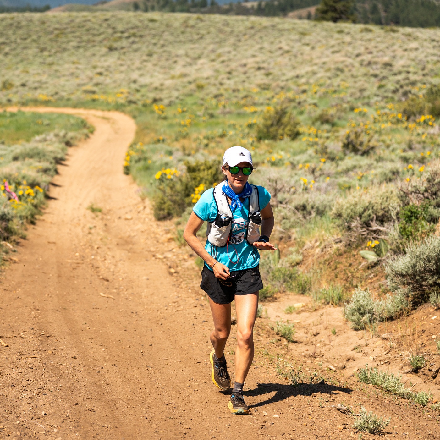 CSR 364 Lauren Evans