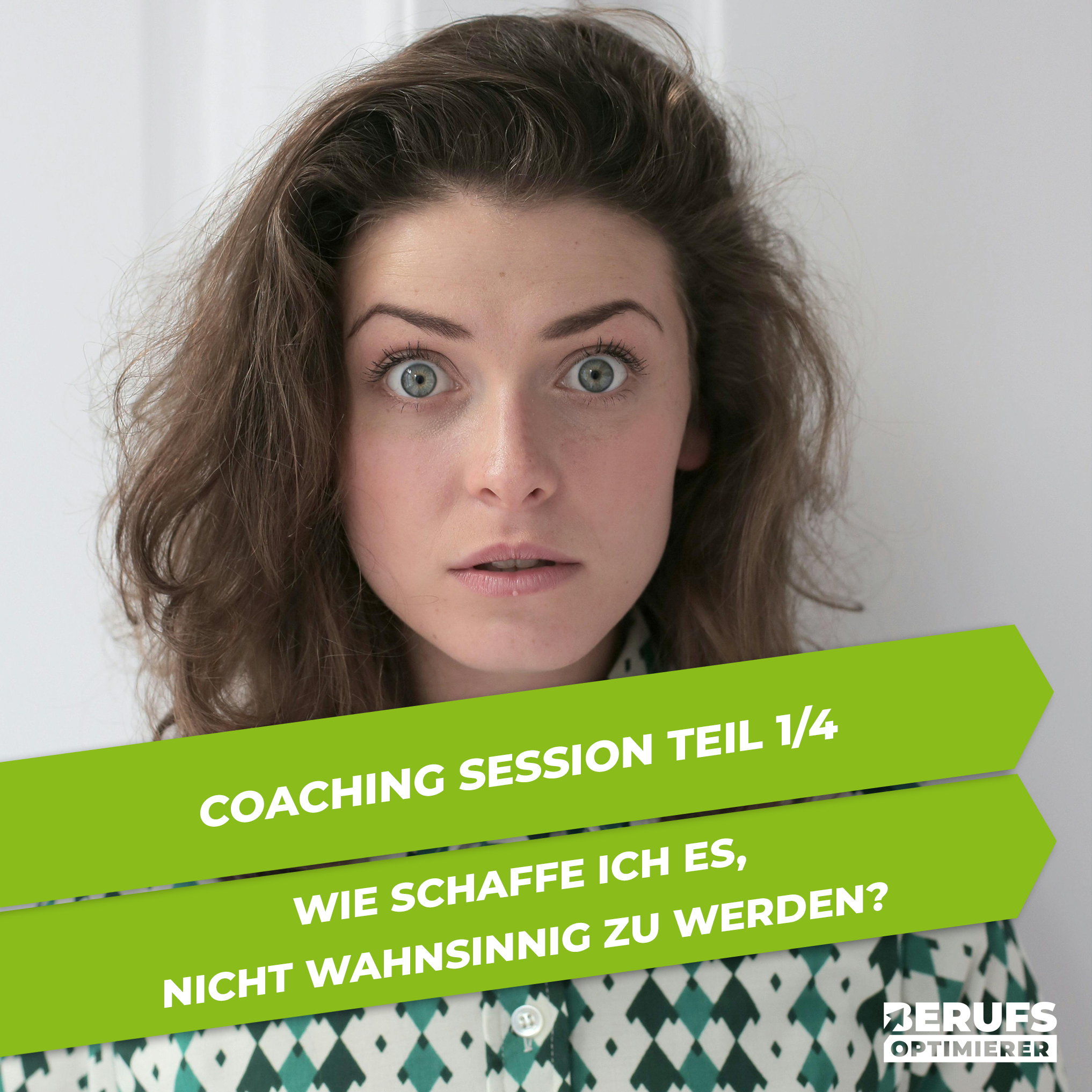 Berufsoptimierer - Erfolg in Bewerbung und Karriere