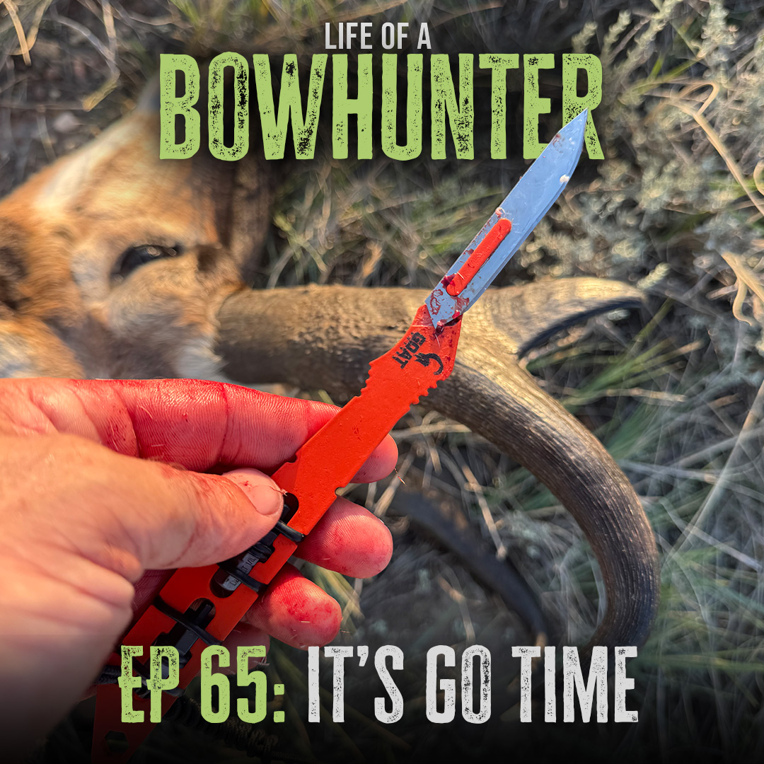 Episode 65:  It's Go Time!