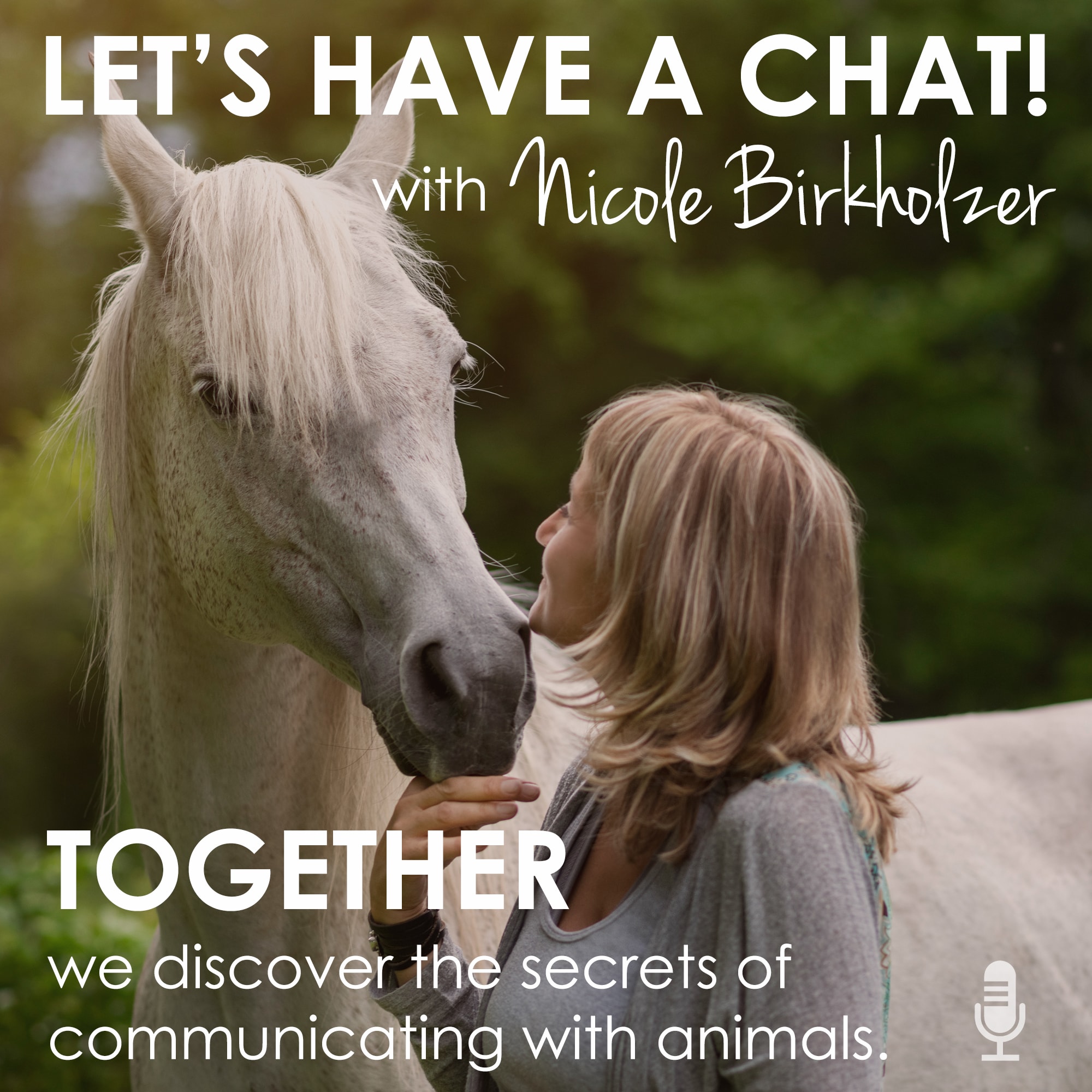 Let\'s Have A Chat!