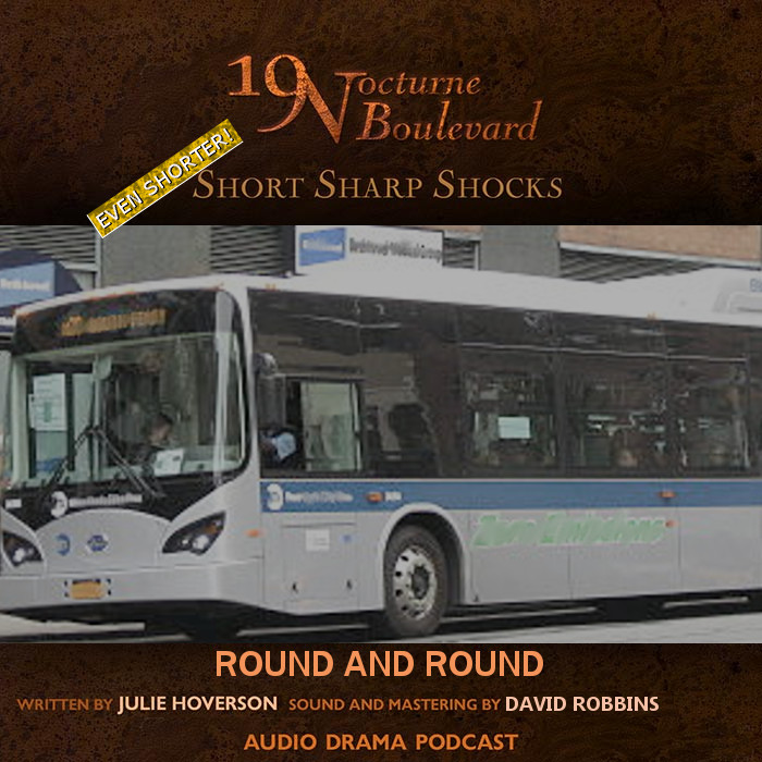 Short Sharp Shocks:  Round and Round