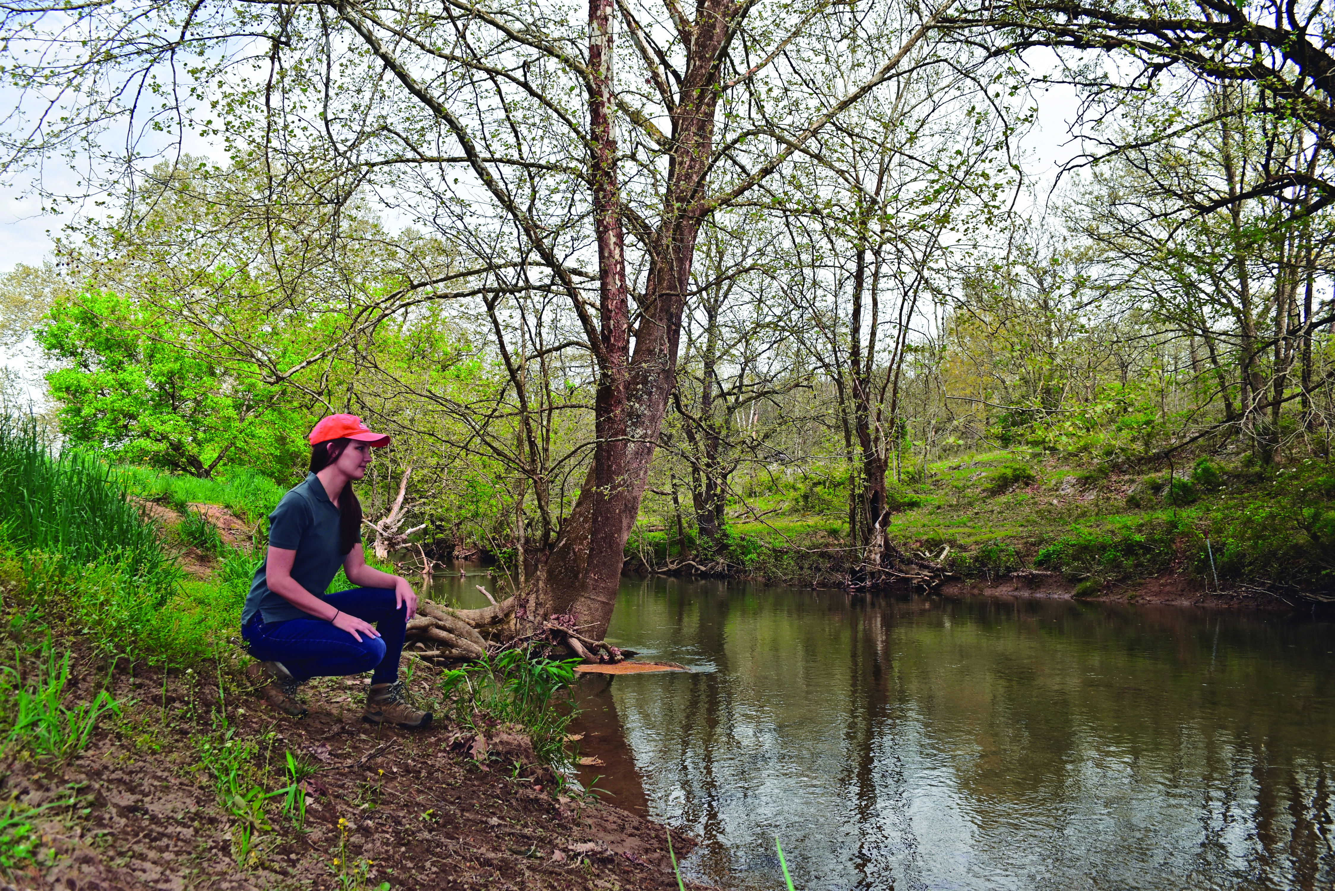 Audio Article: Conservation Easements