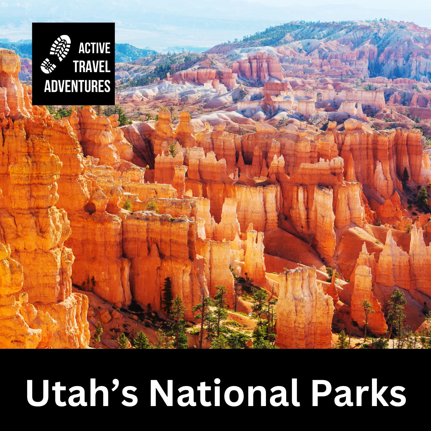 Active Travel Adventures