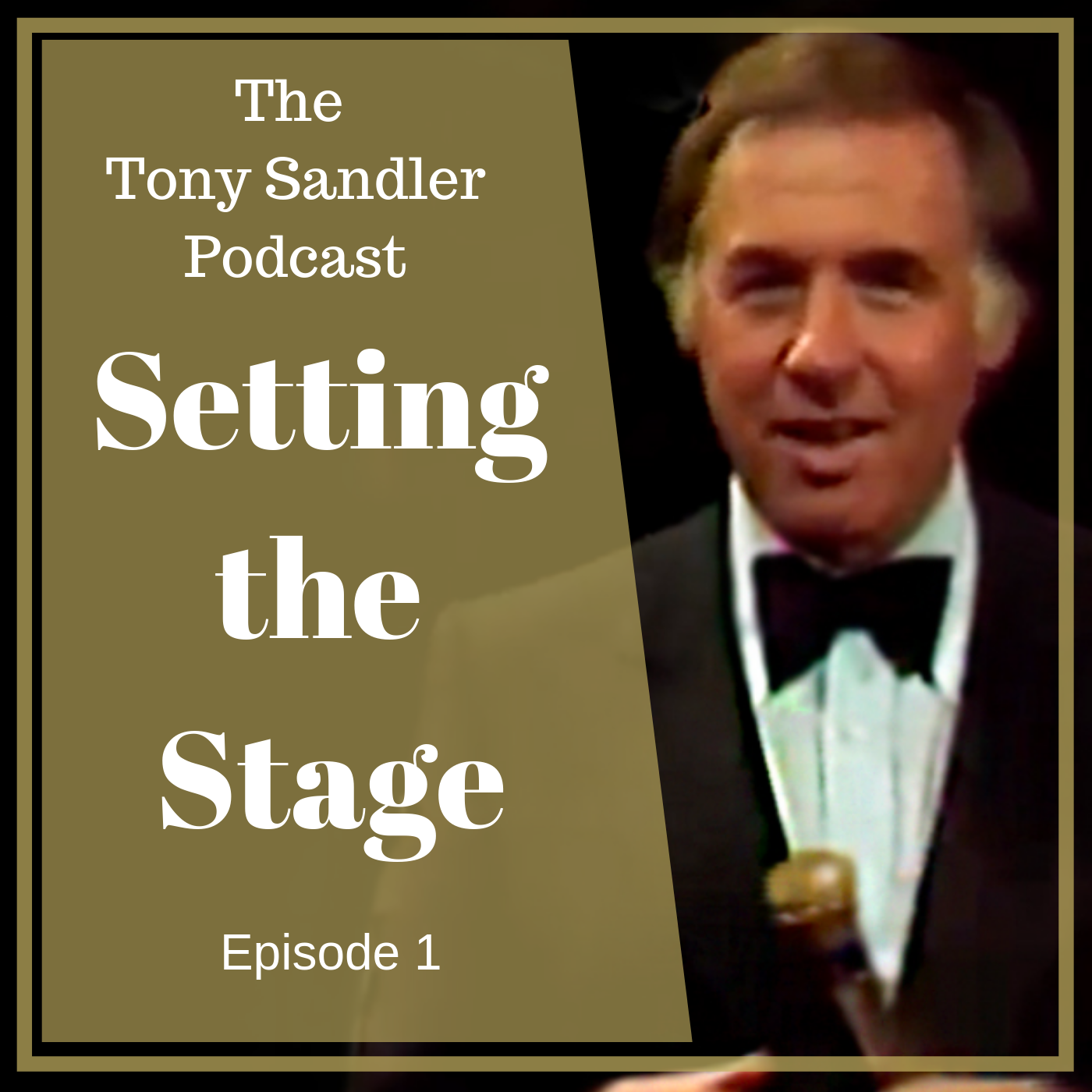 The Tony Sandler Podcast