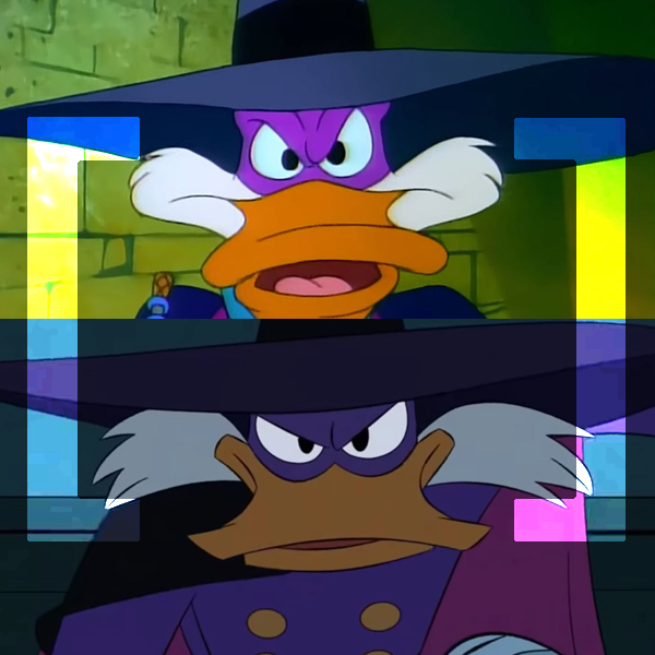 Duck Law