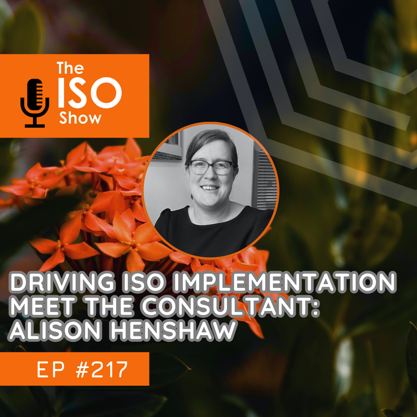 The ISO Show