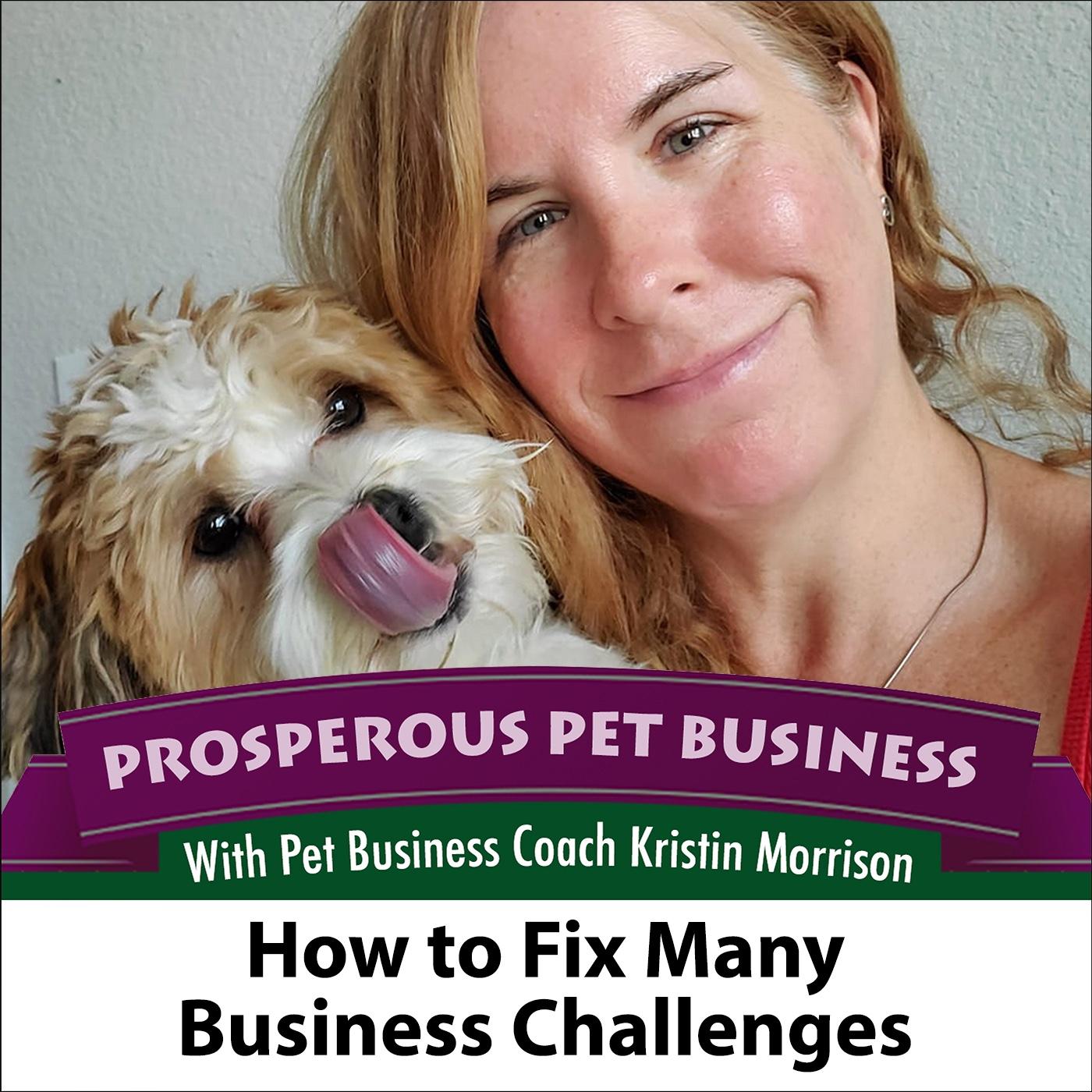 Prosperous Pet Business
