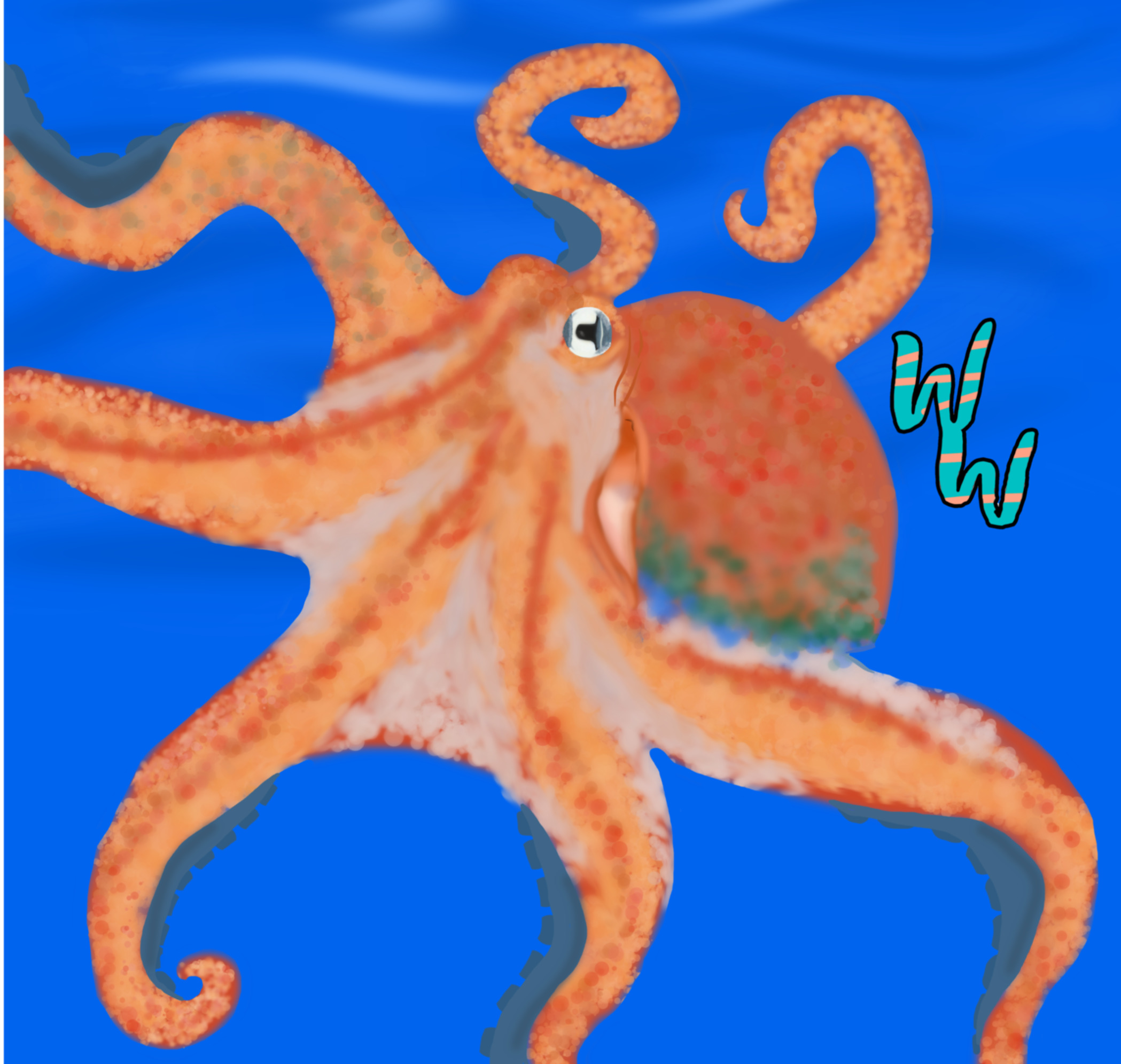 Giant Pacific Octopus
