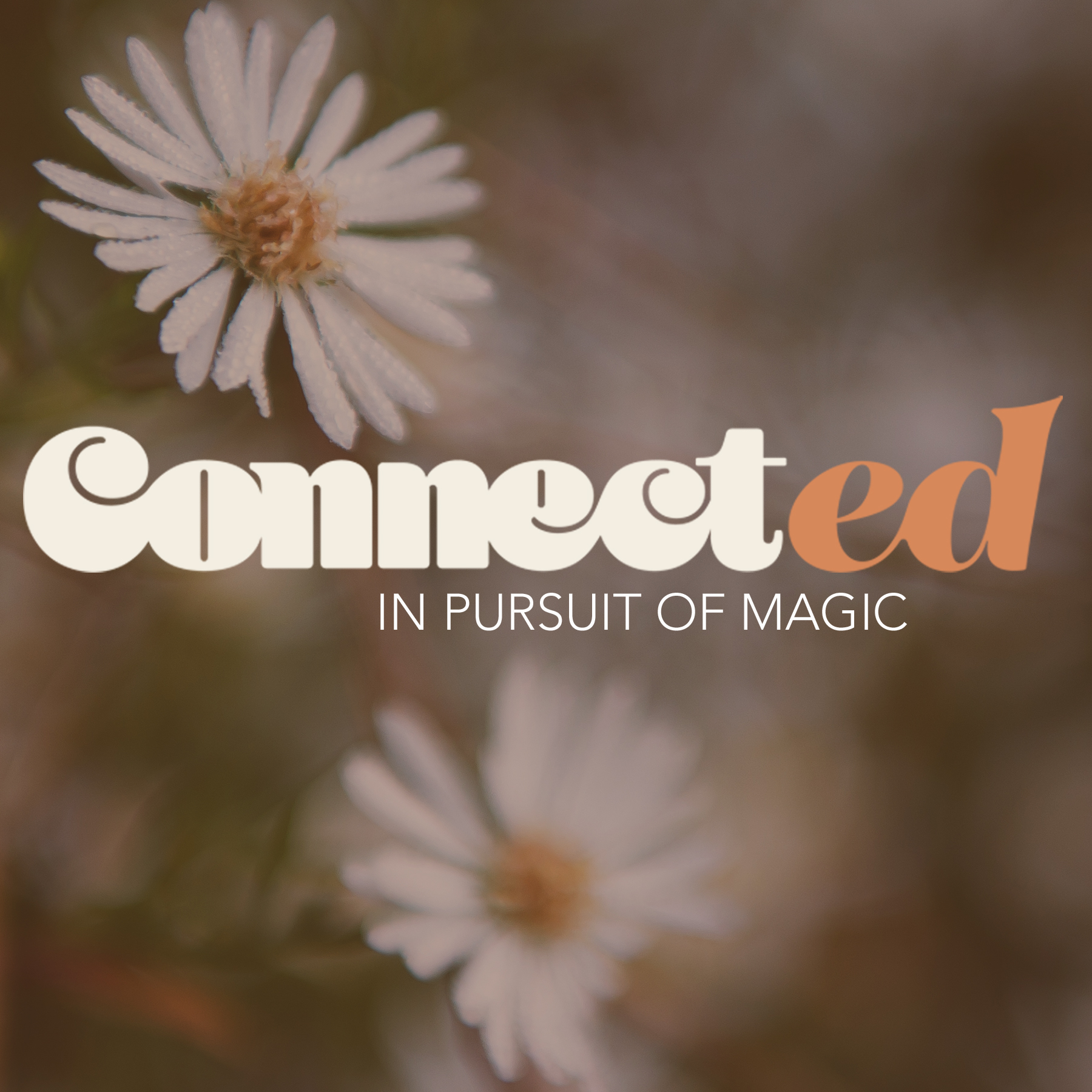Connected with Kimberly Dam