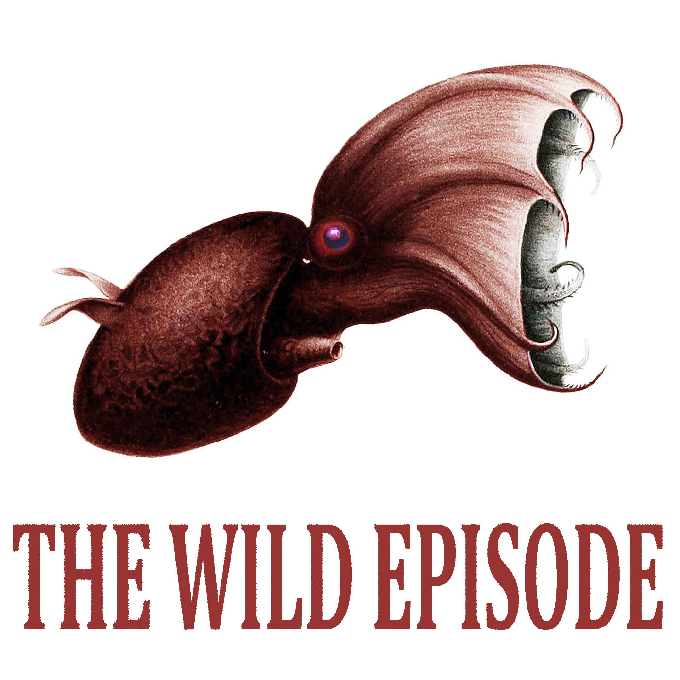 The Wild Episode