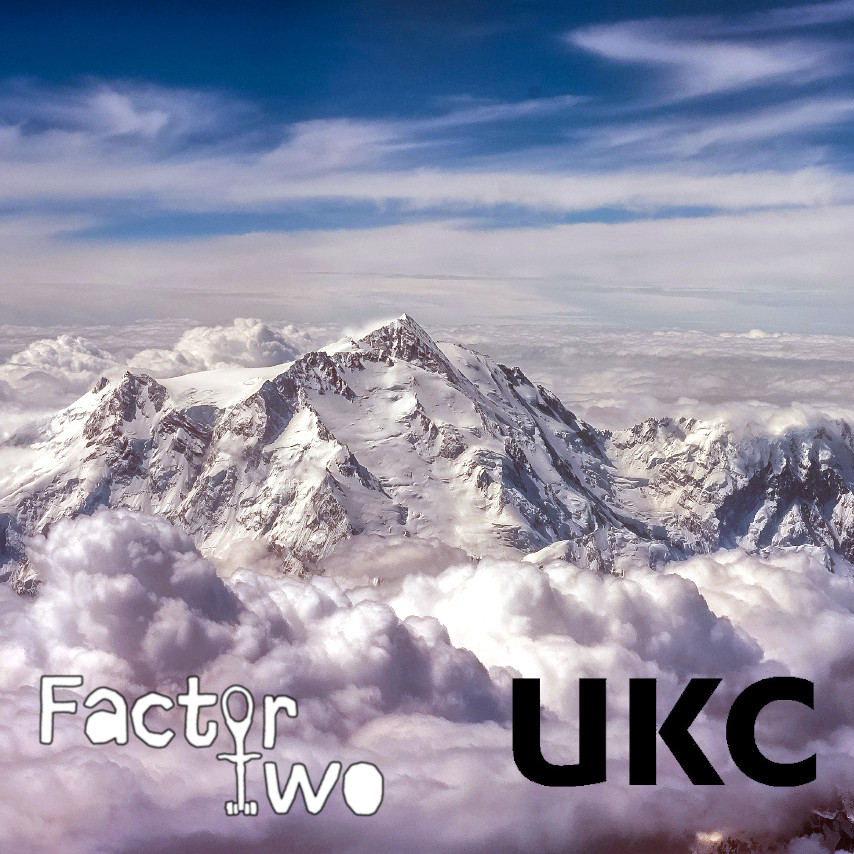 Factor Two