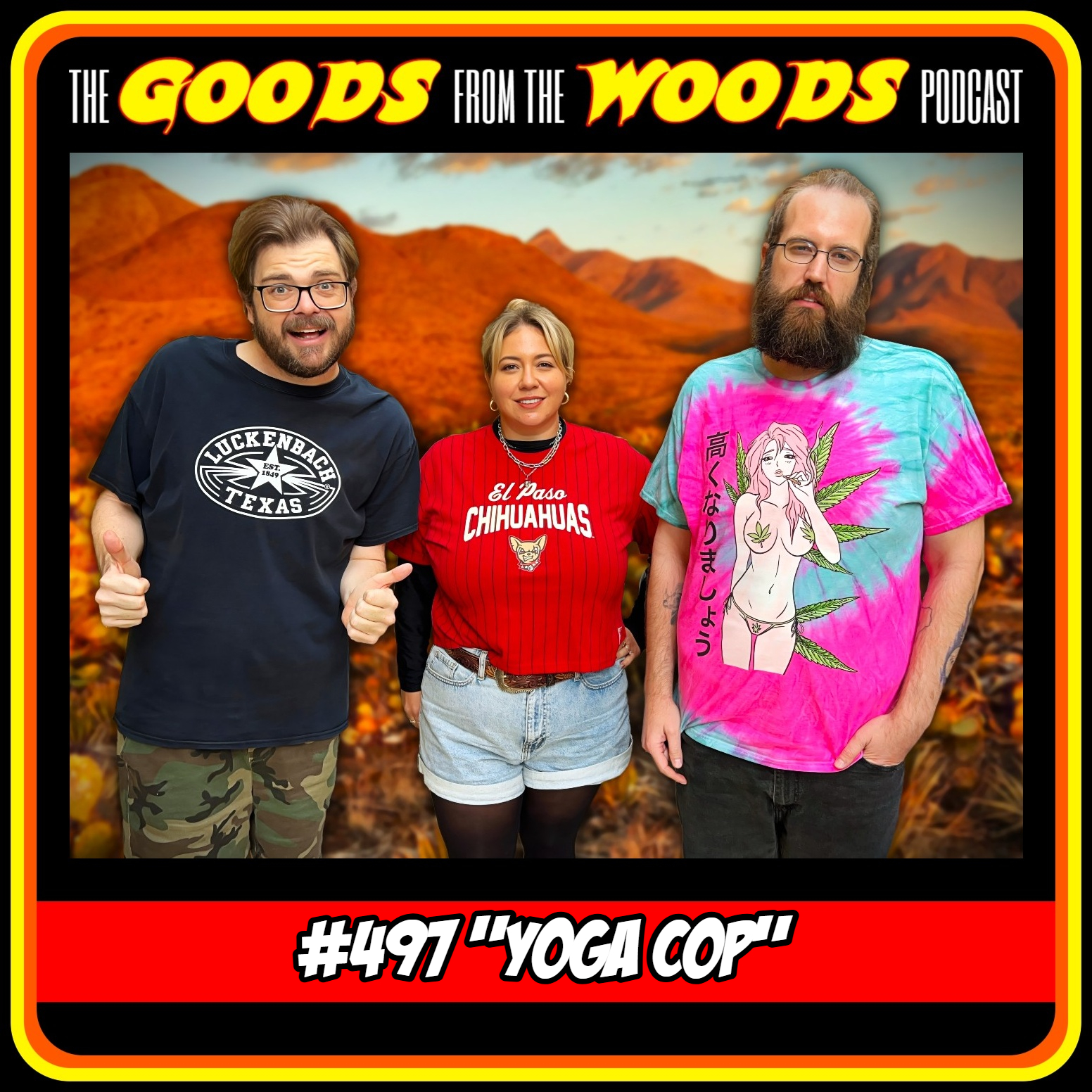 Episode #497 - "Yoga Cop" with Lisa Chanoux