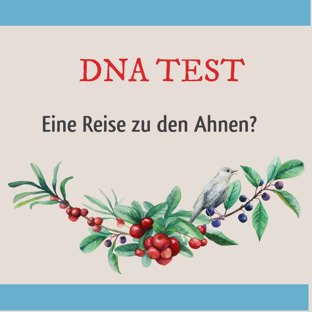 Wunderwelt Körper