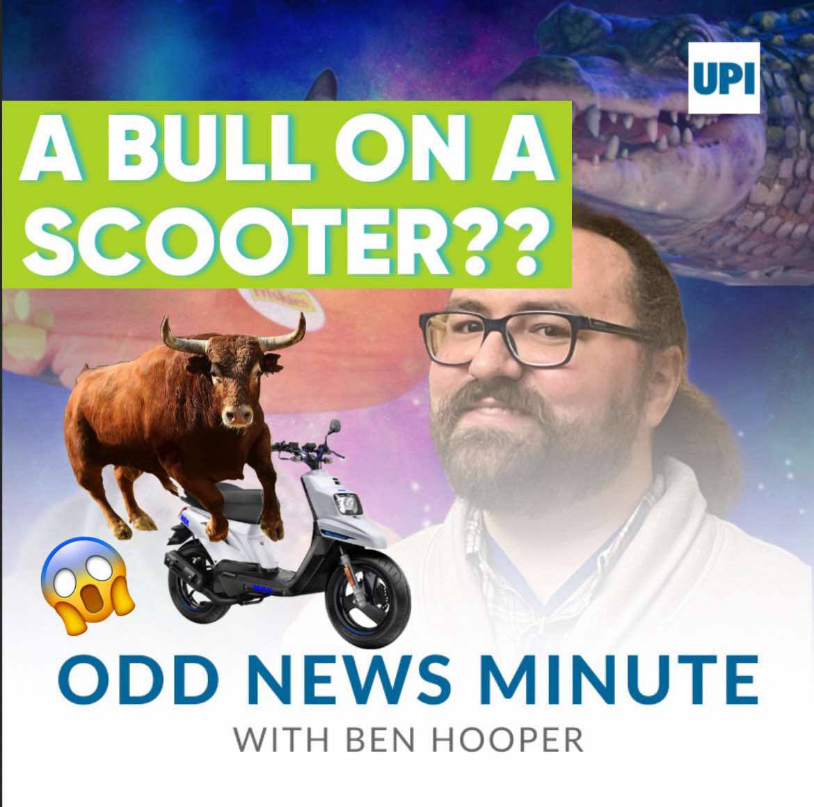 Baseball ducks, bull rides a scooter