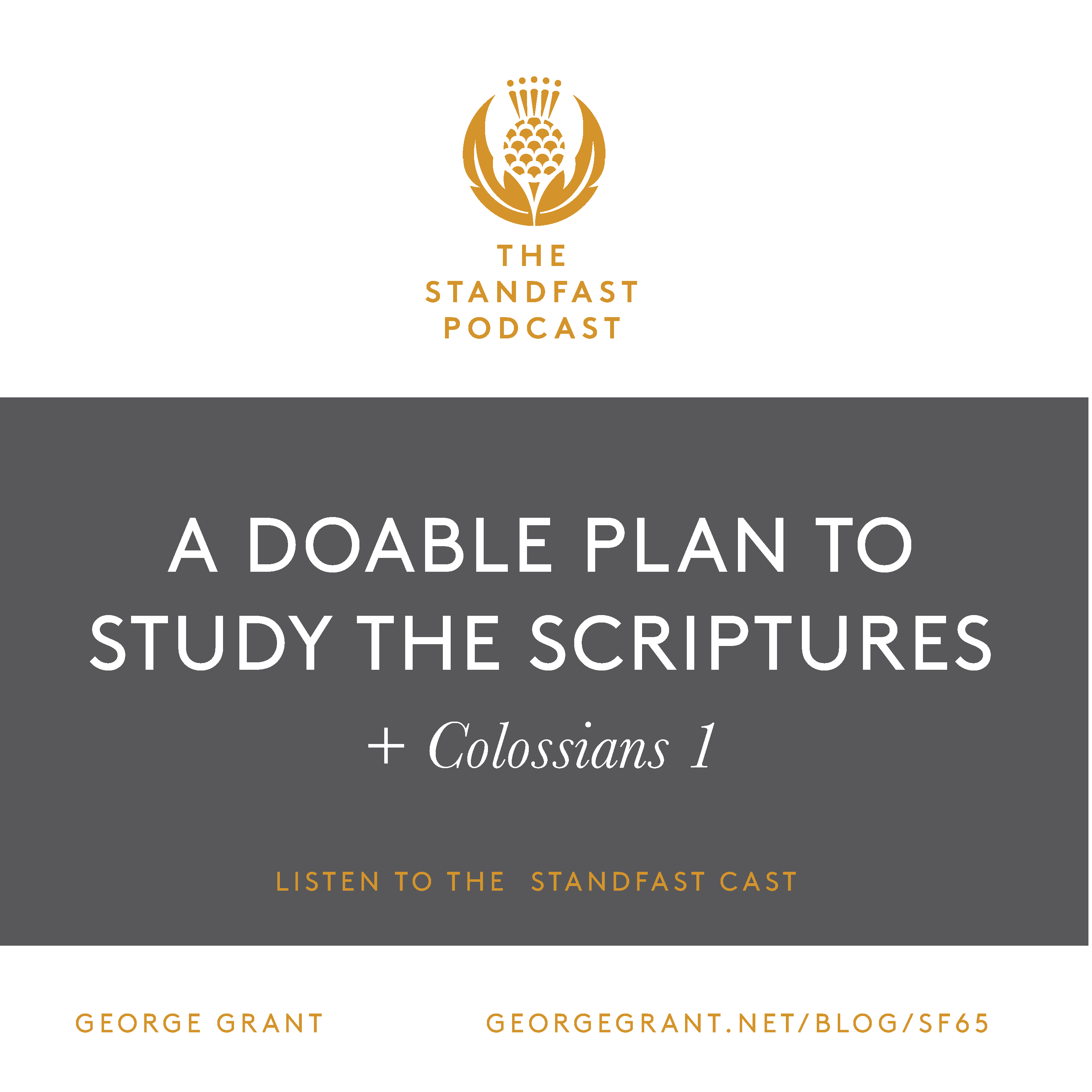 A doable plan to study the Scriptures + Colossians 1 episode artwork