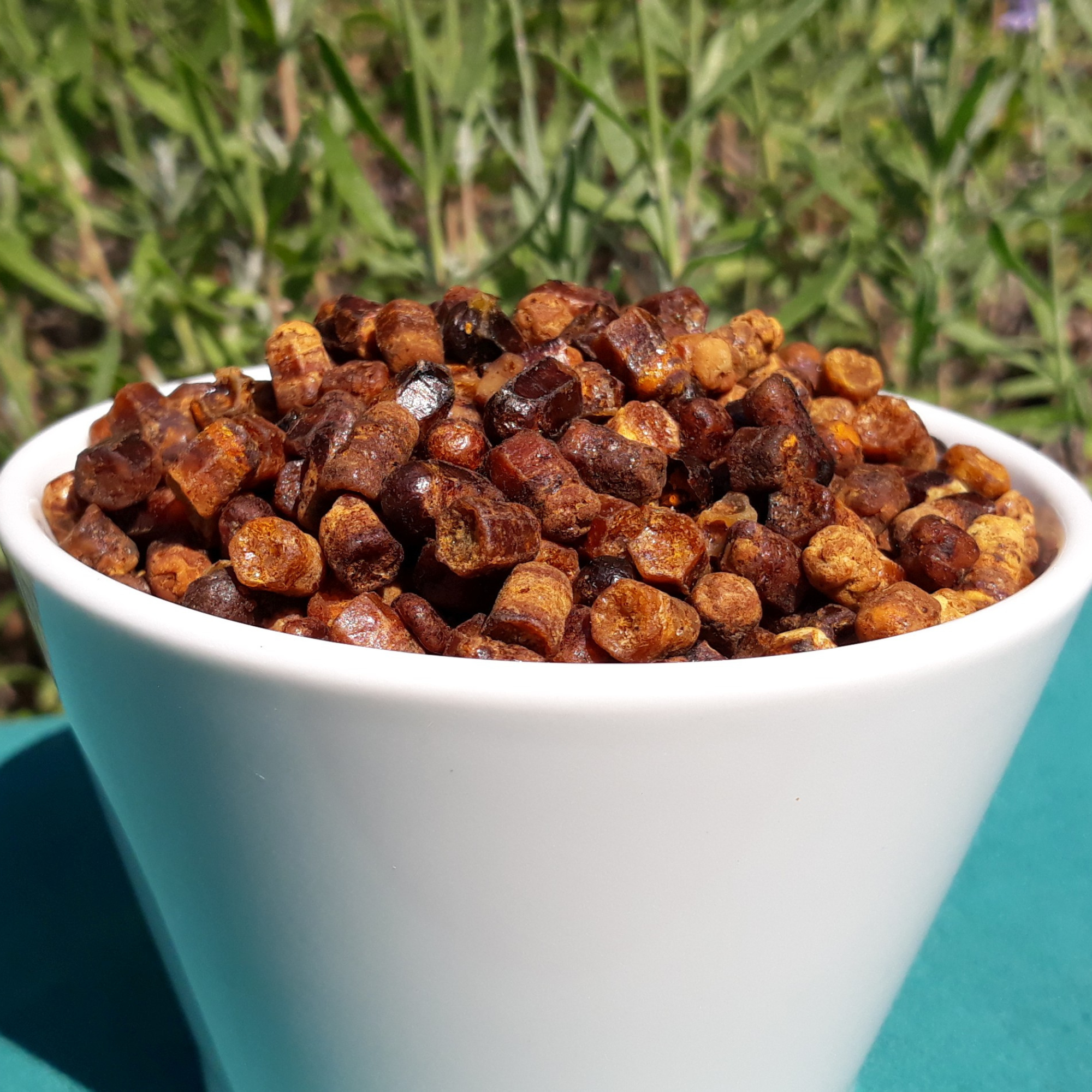 The Secret of Bee Bread