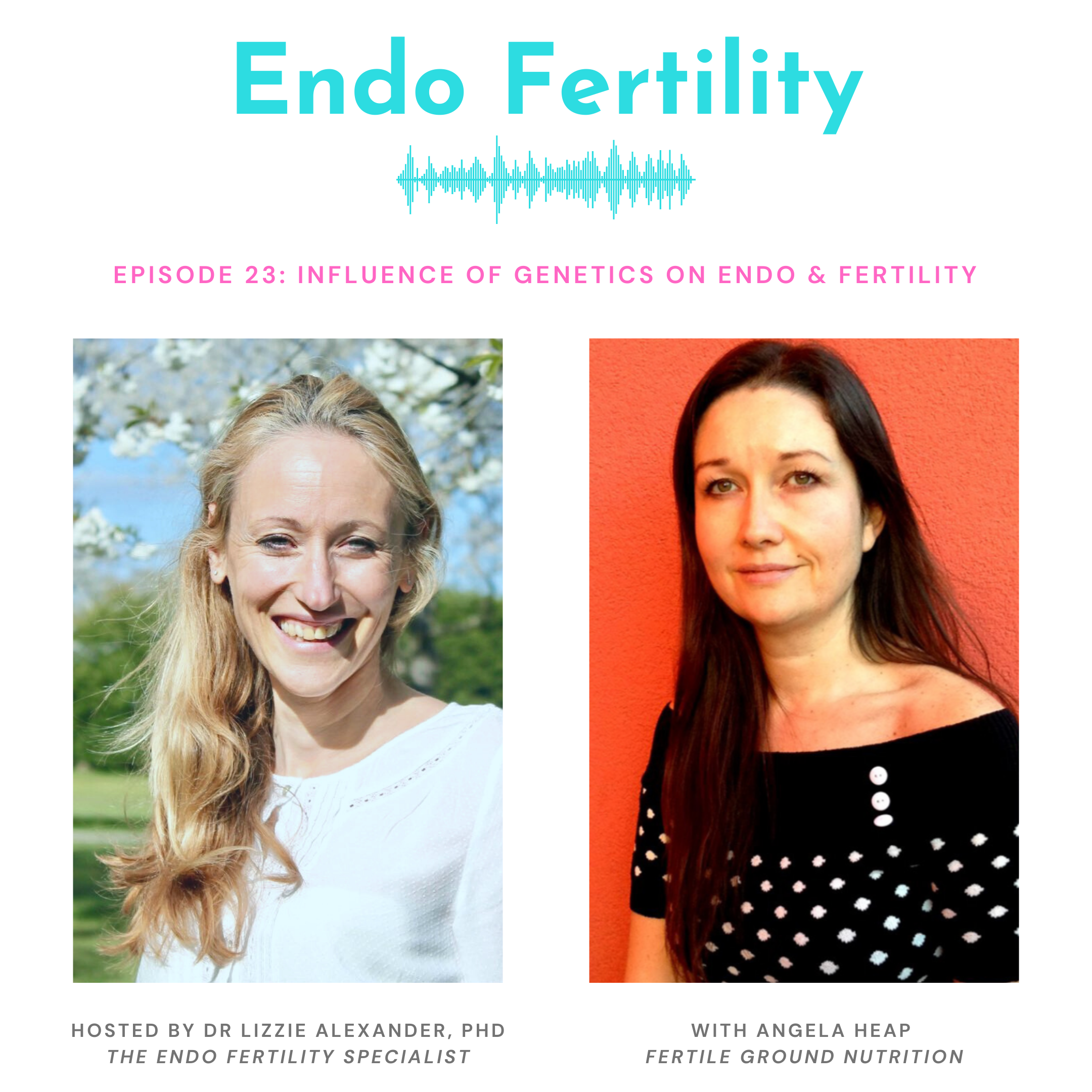 Endo Fertility