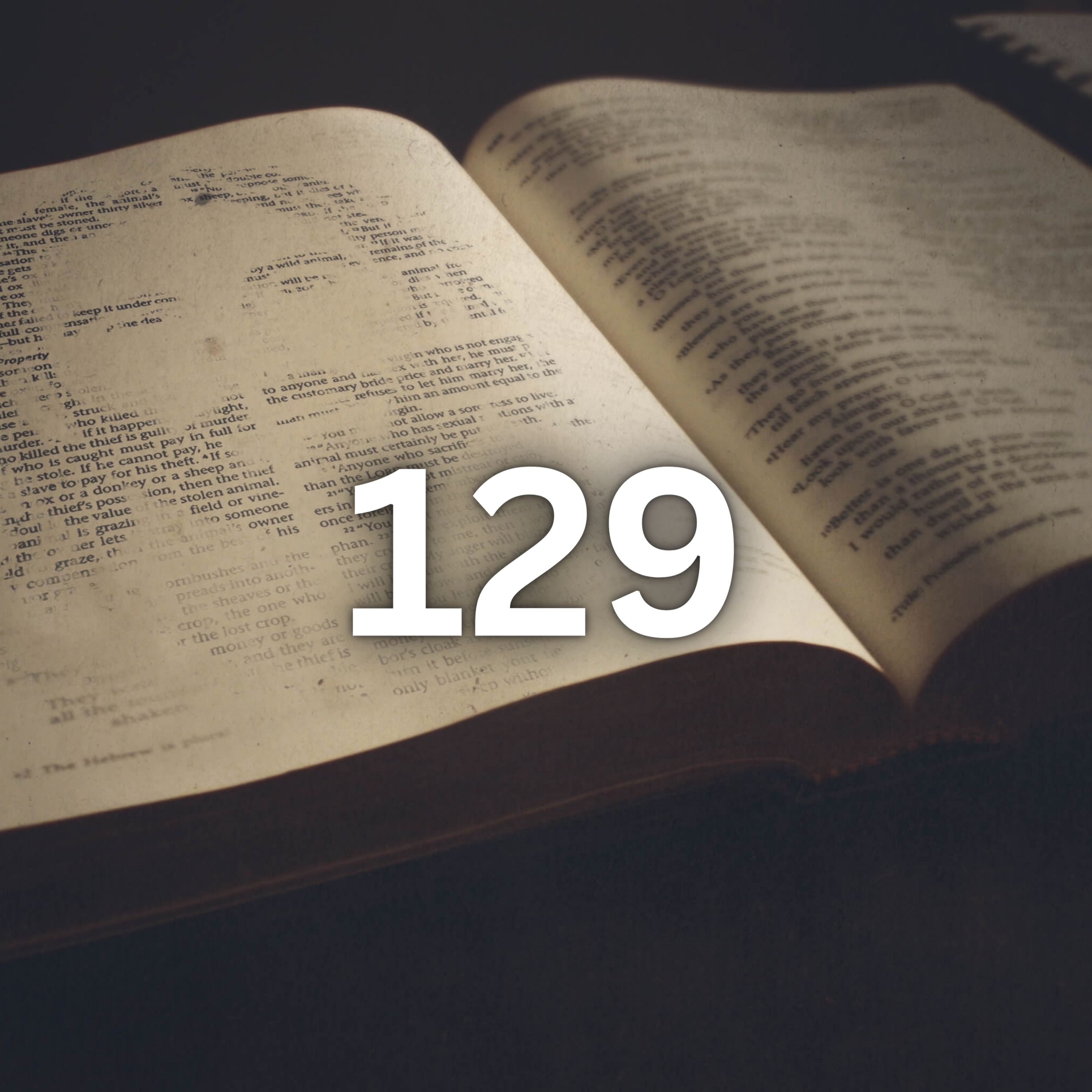 Walking With The Word | The Bible In 365