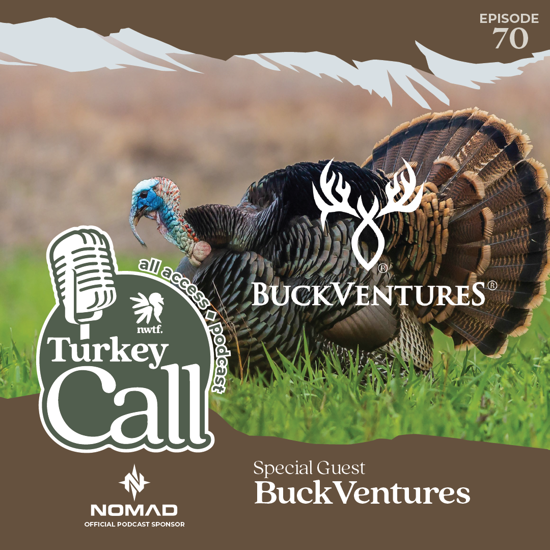 Turkey Call All Access