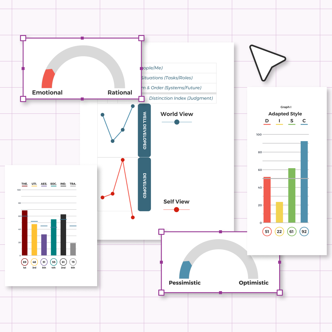 Mini-Episode #3 - Case Study: Using Assessment to Navigate Employee Challenges