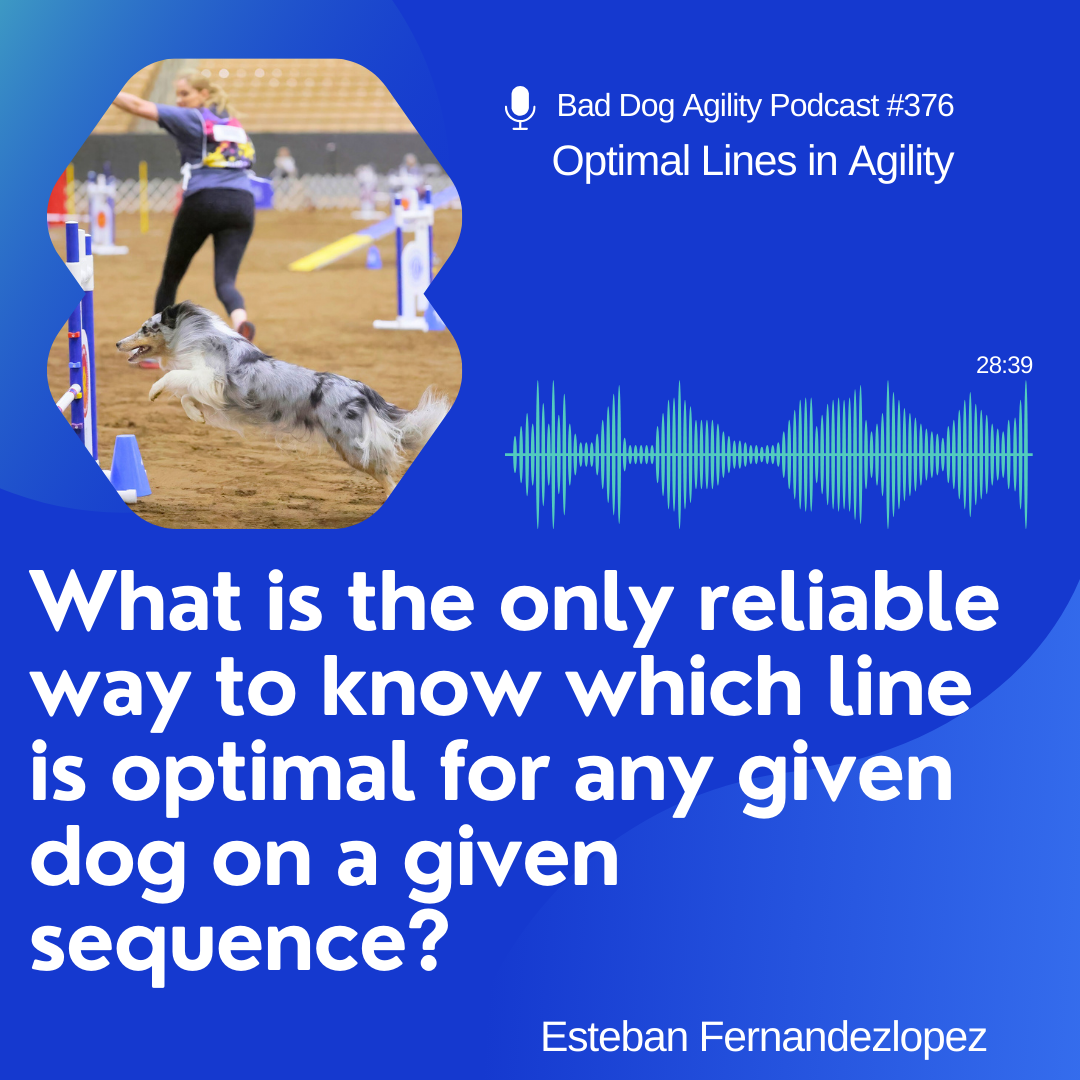 376: Optimal Lines in Agility