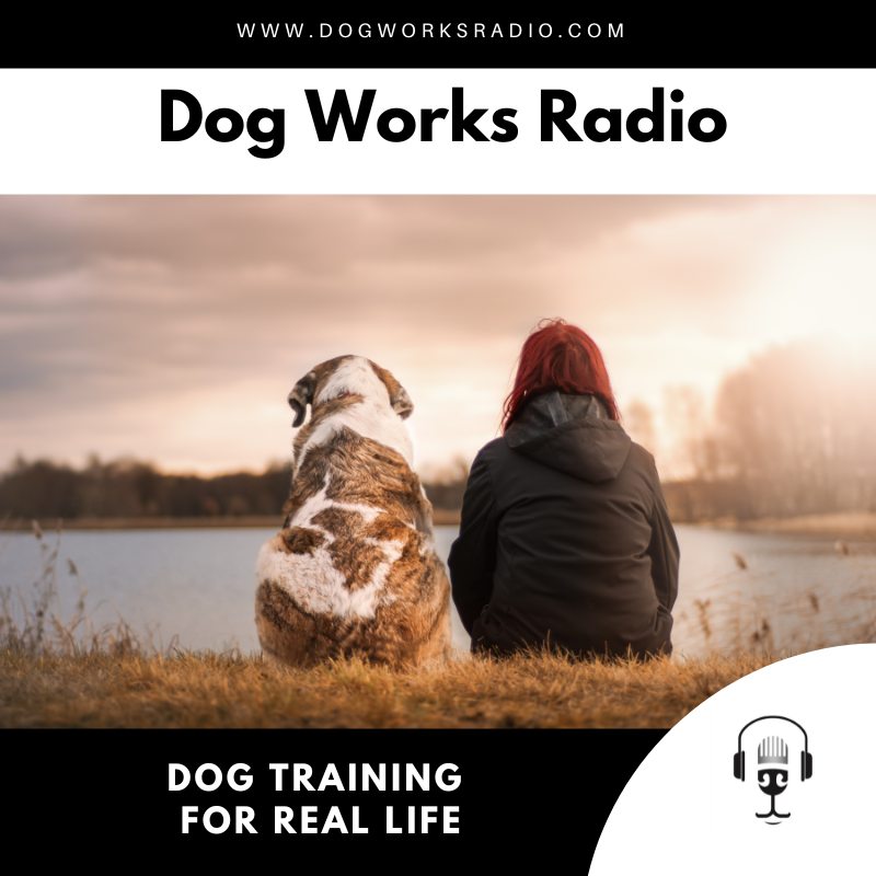 Training for Real Life: Ensuring Your Dog Behaves in Public